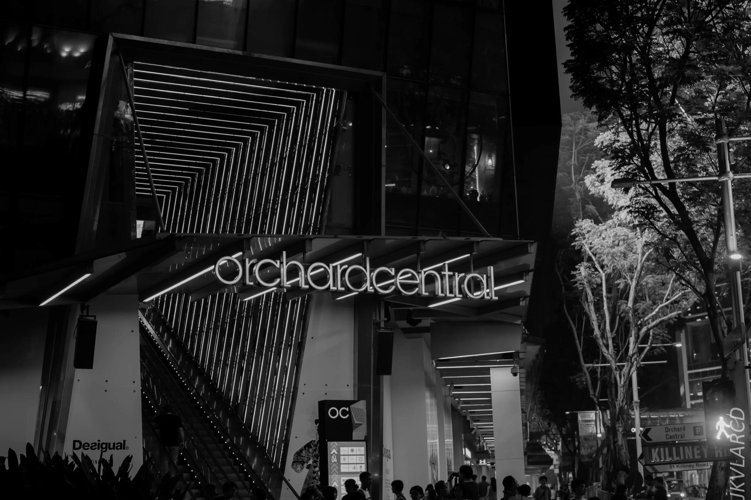 EOS 7D Mark II_2018_04_14_7751.jpg