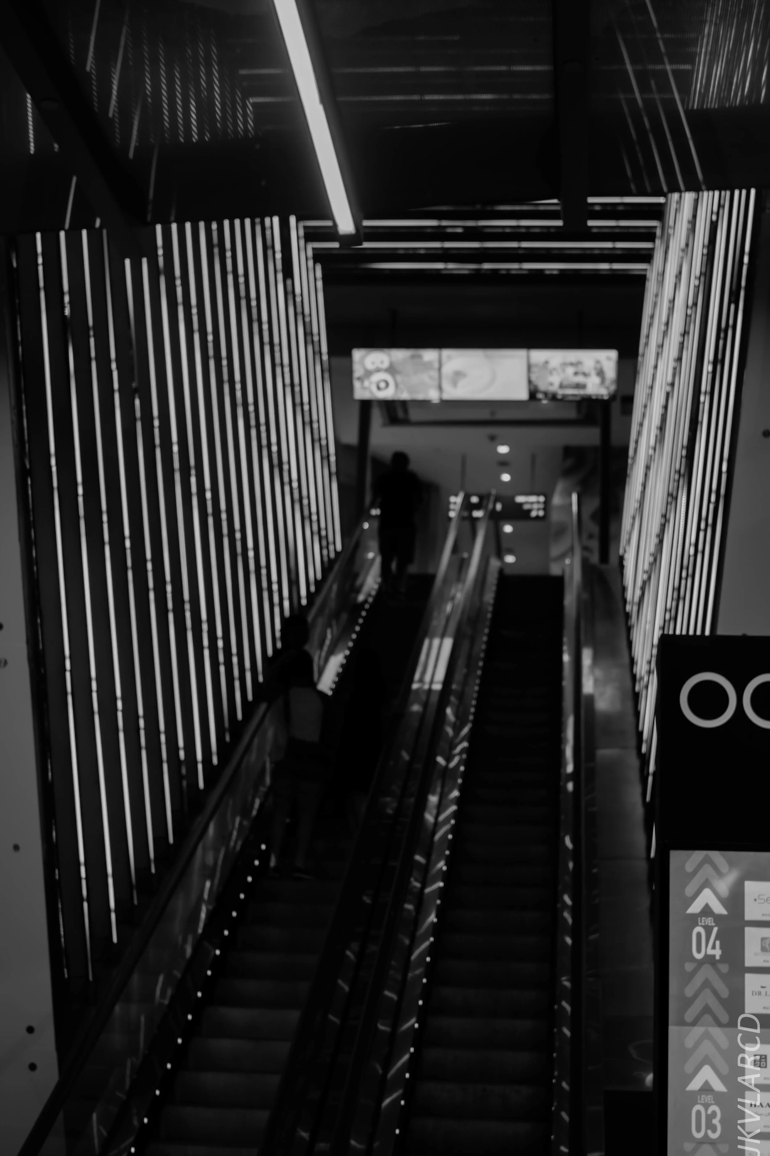 EOS 7D Mark II_2018_04_14_7753.jpg