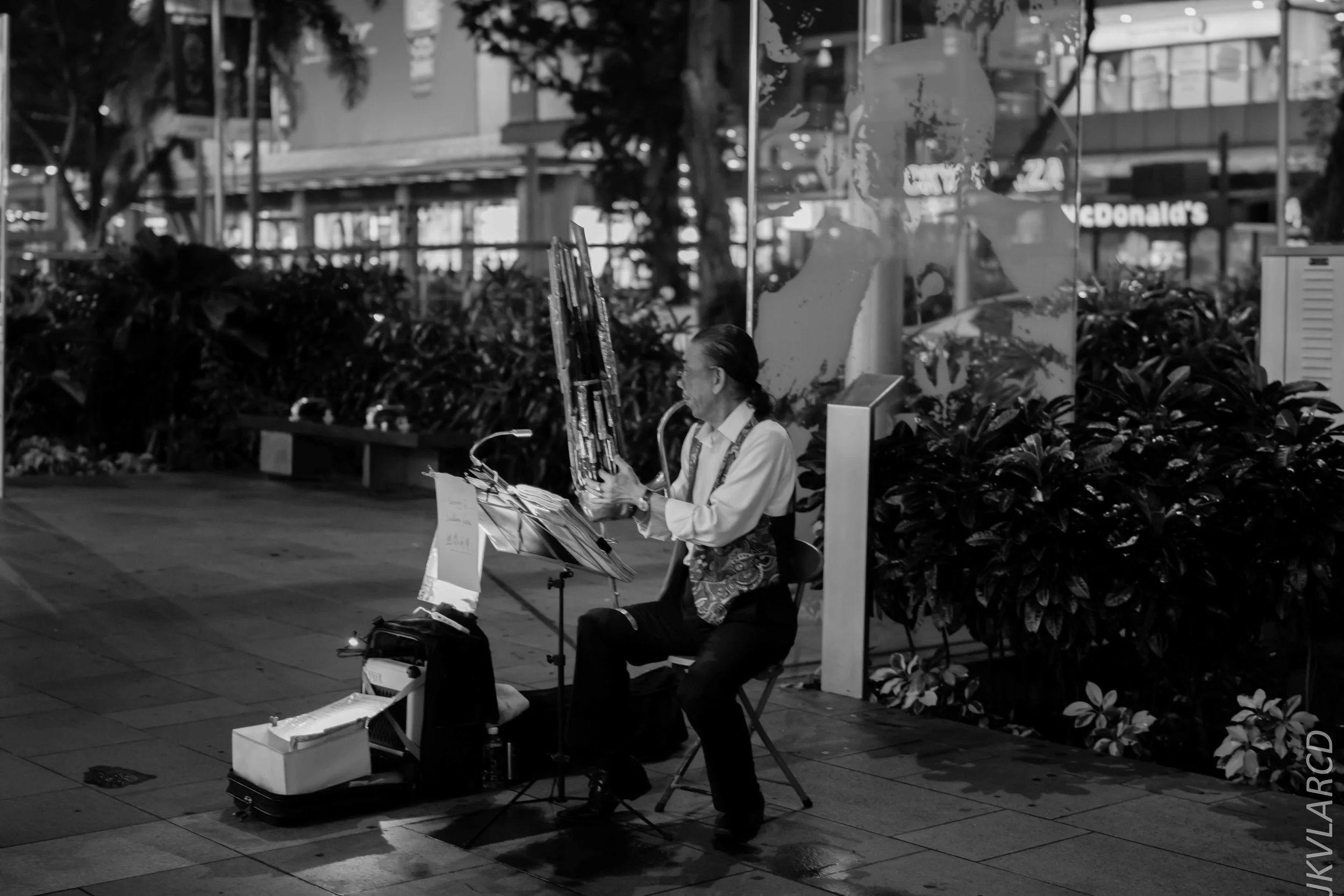 EOS 7D Mark II_2018_04_14_7768.jpg