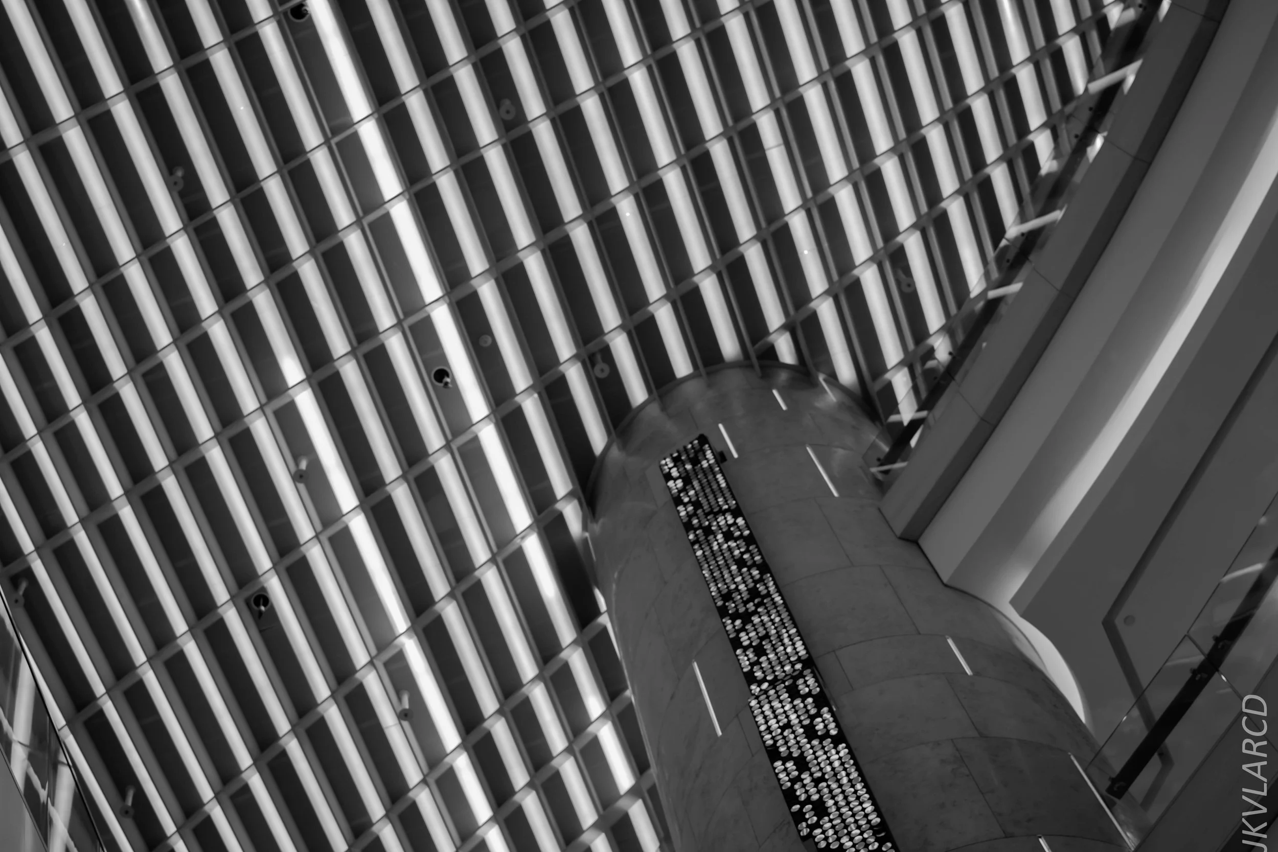 EOS 7D Mark II_2018_04_14_7792.jpg