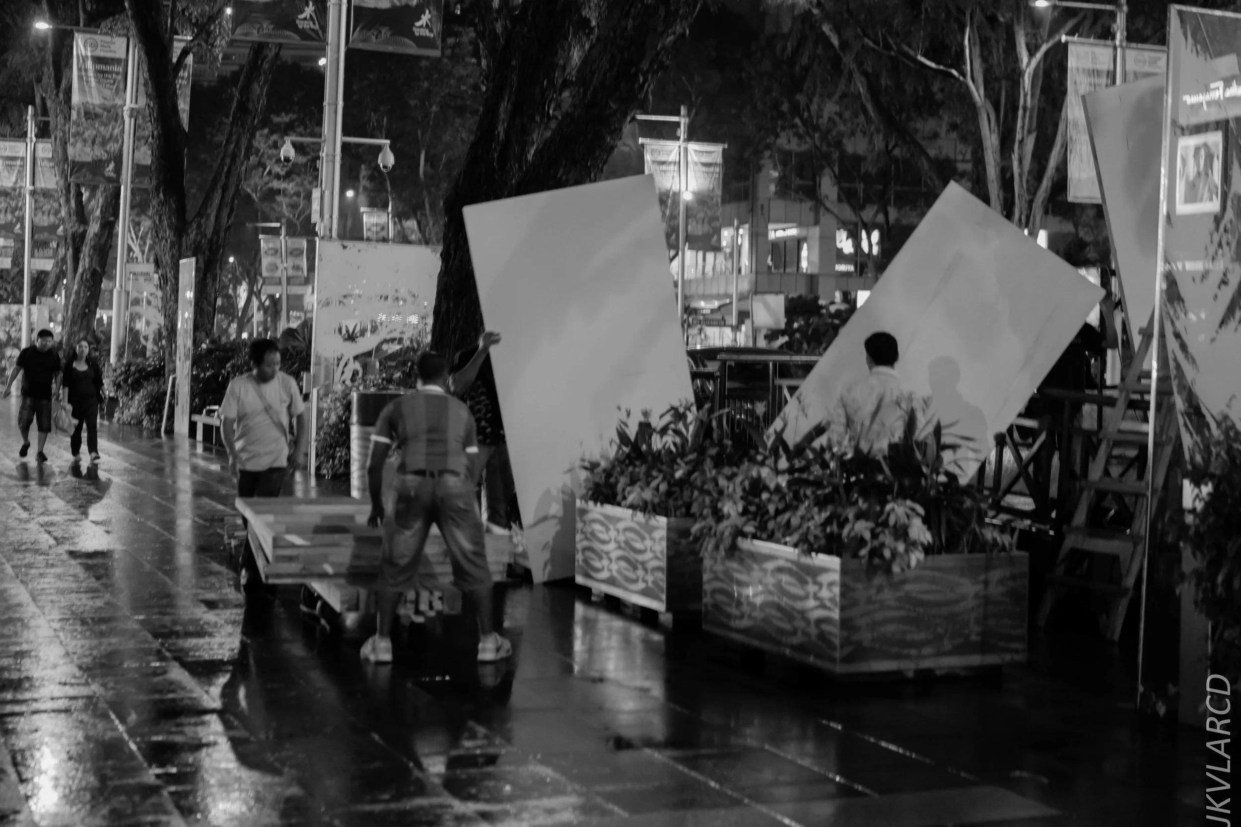 EOS 7D Mark II_2018_04_14_7819.jpg