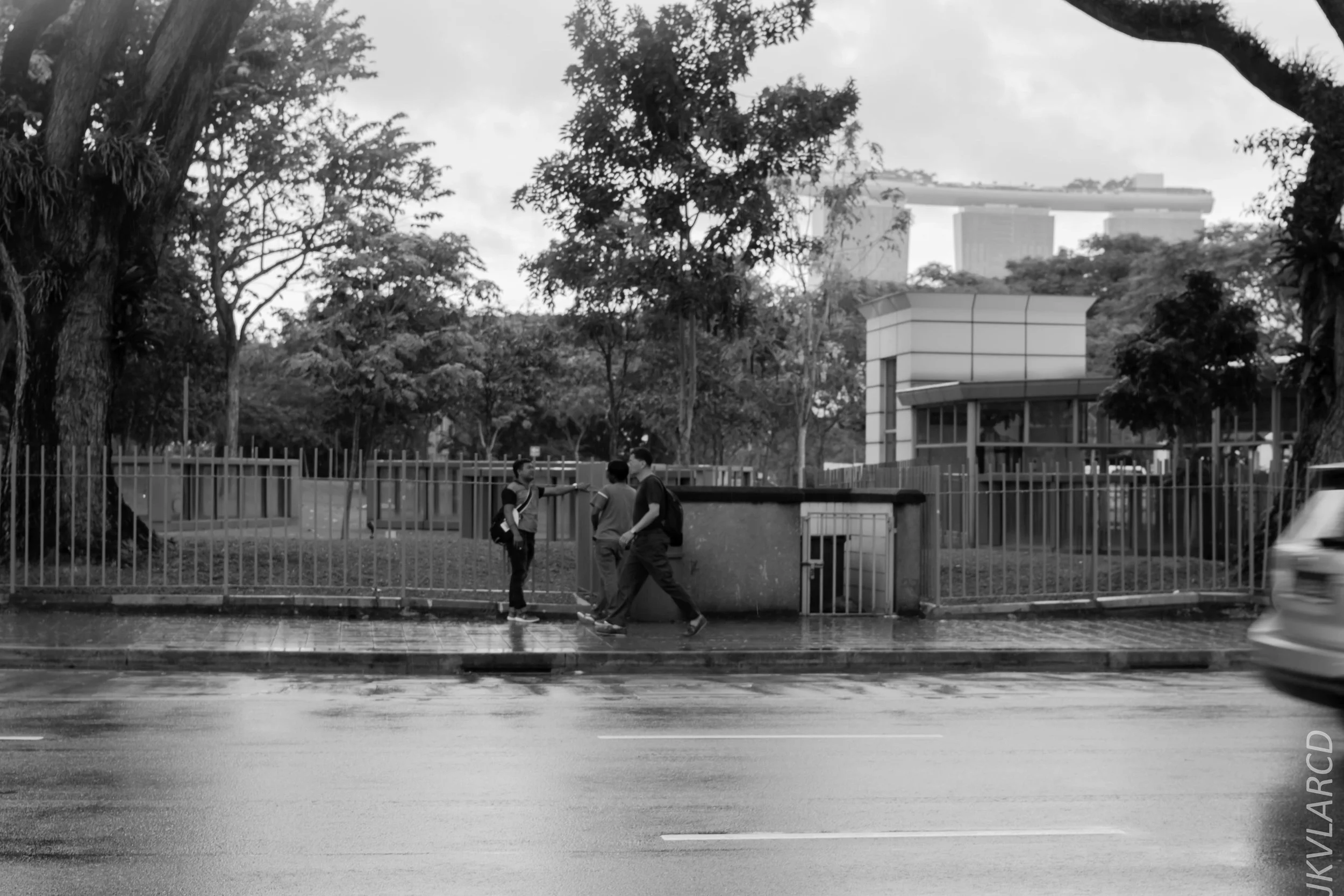 EOS 7D Mark II_2018_05_01_7865.jpg