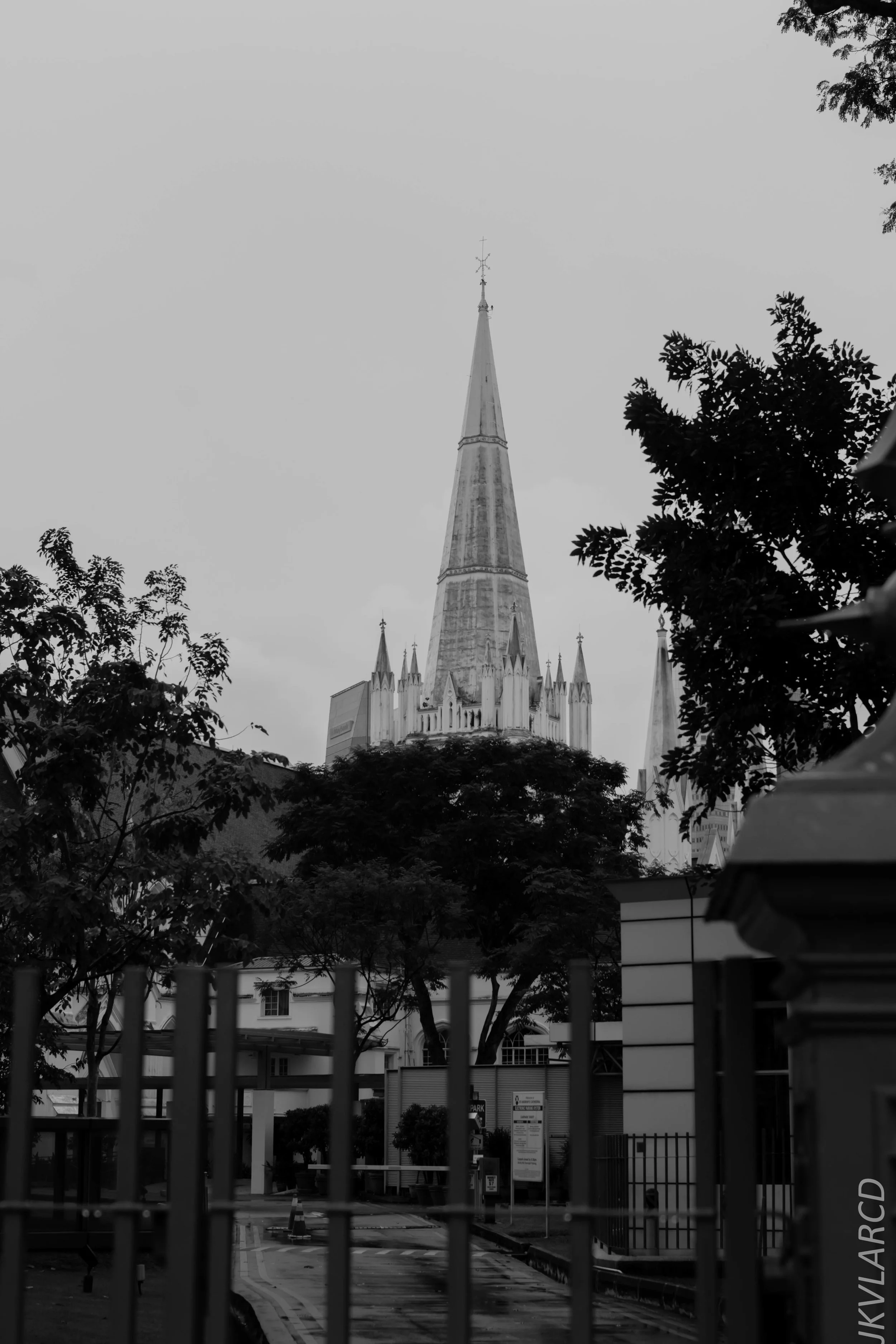 EOS 7D Mark II_2018_05_01_7869.jpg