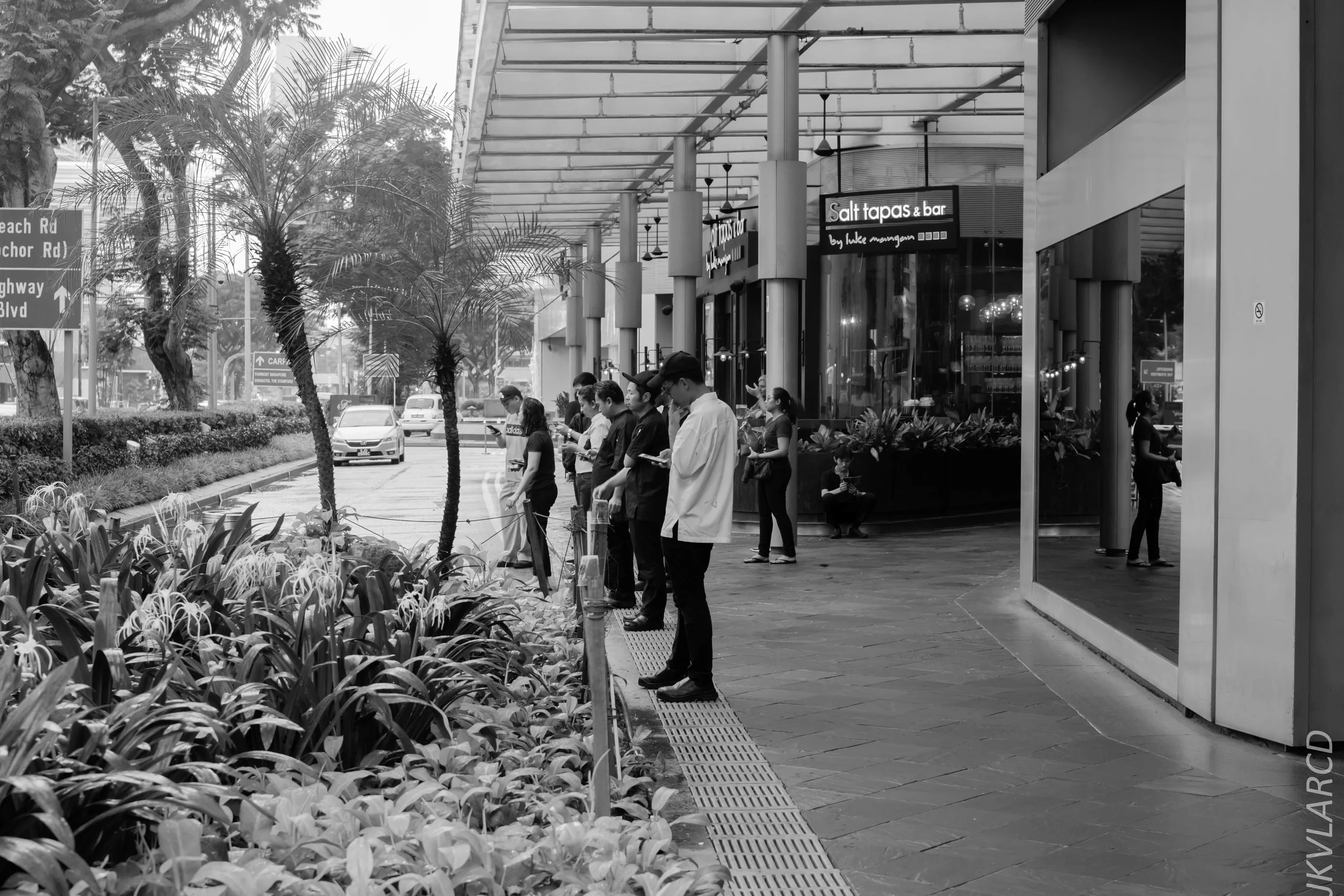 EOS 7D Mark II_2018_05_01_7875.jpg