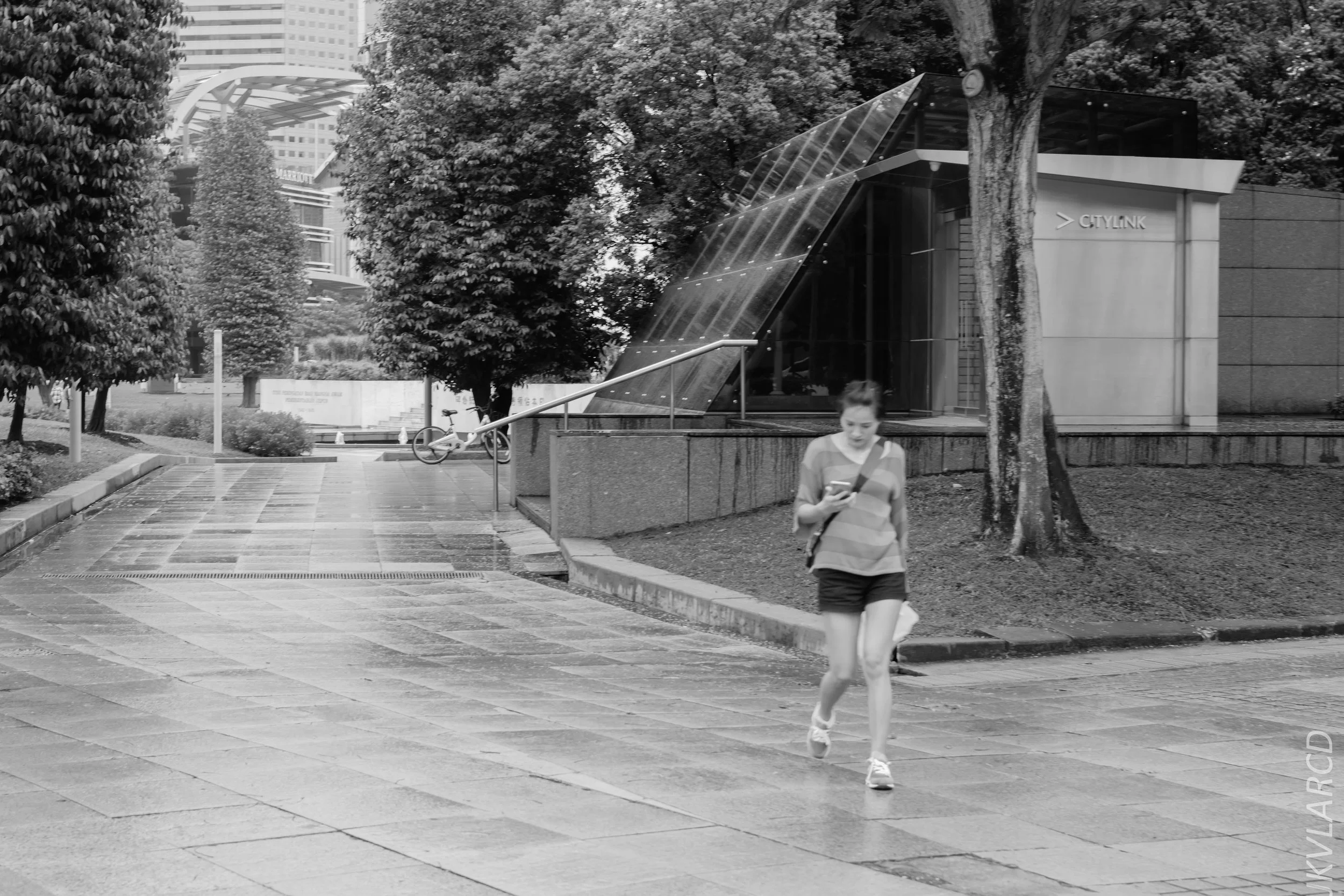 EOS 7D Mark II_2018_05_01_7898.jpg