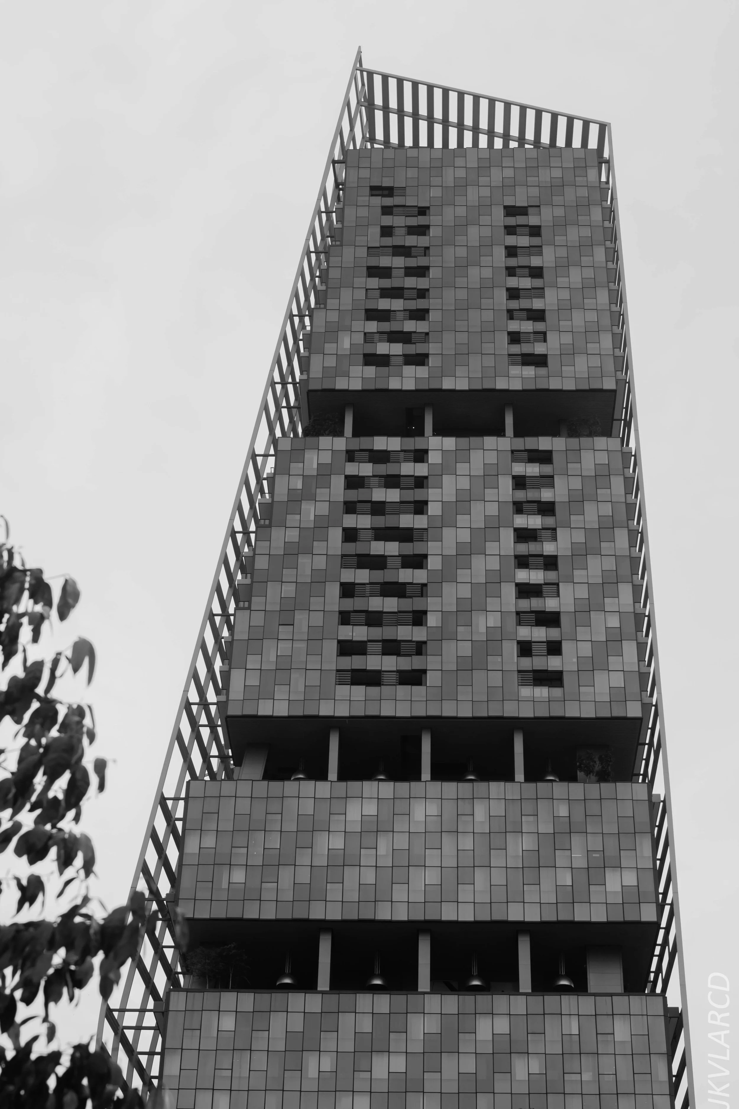 EOS 7D Mark II_2018_05_01_7902.jpg