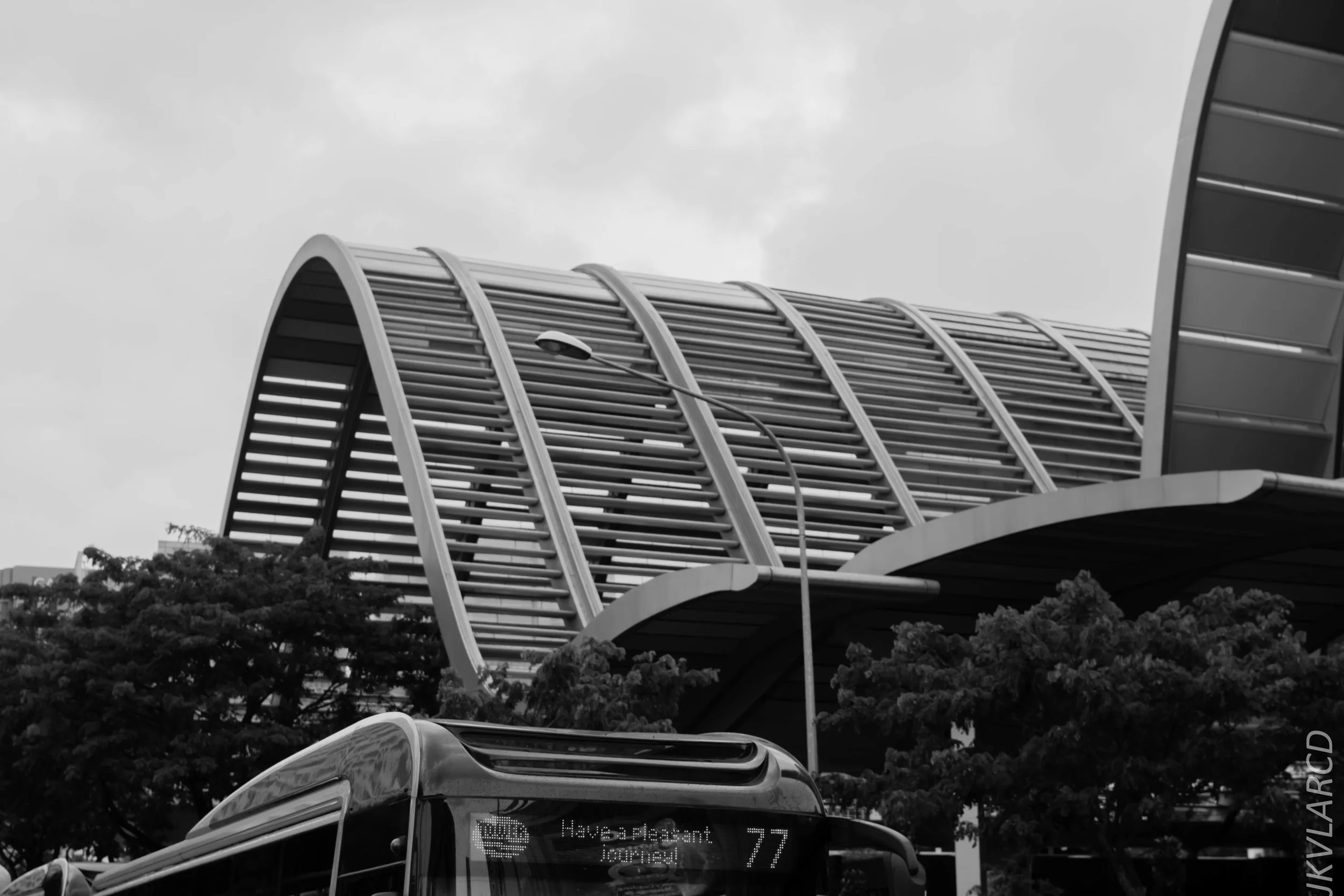 EOS 7D Mark II_2018_05_01_7903.jpg