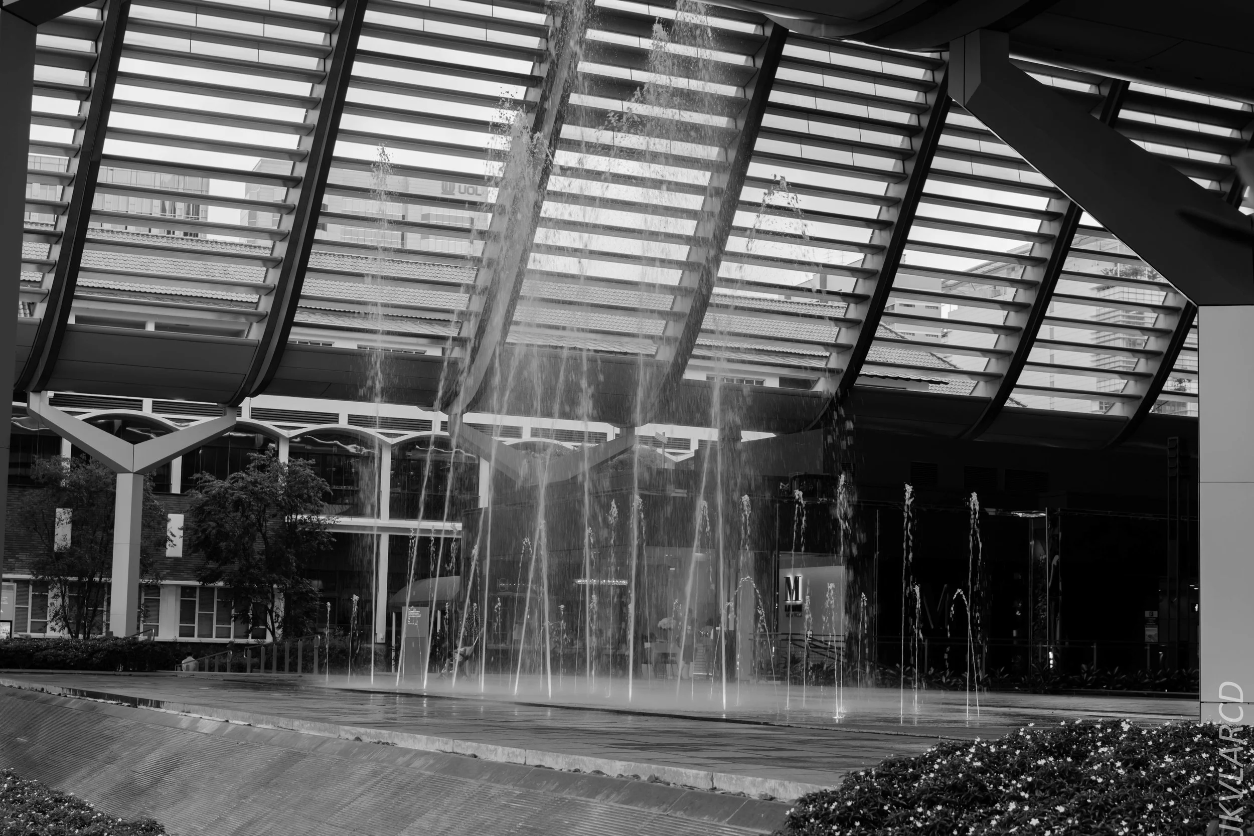 EOS 7D Mark II_2018_05_01_7907.jpg