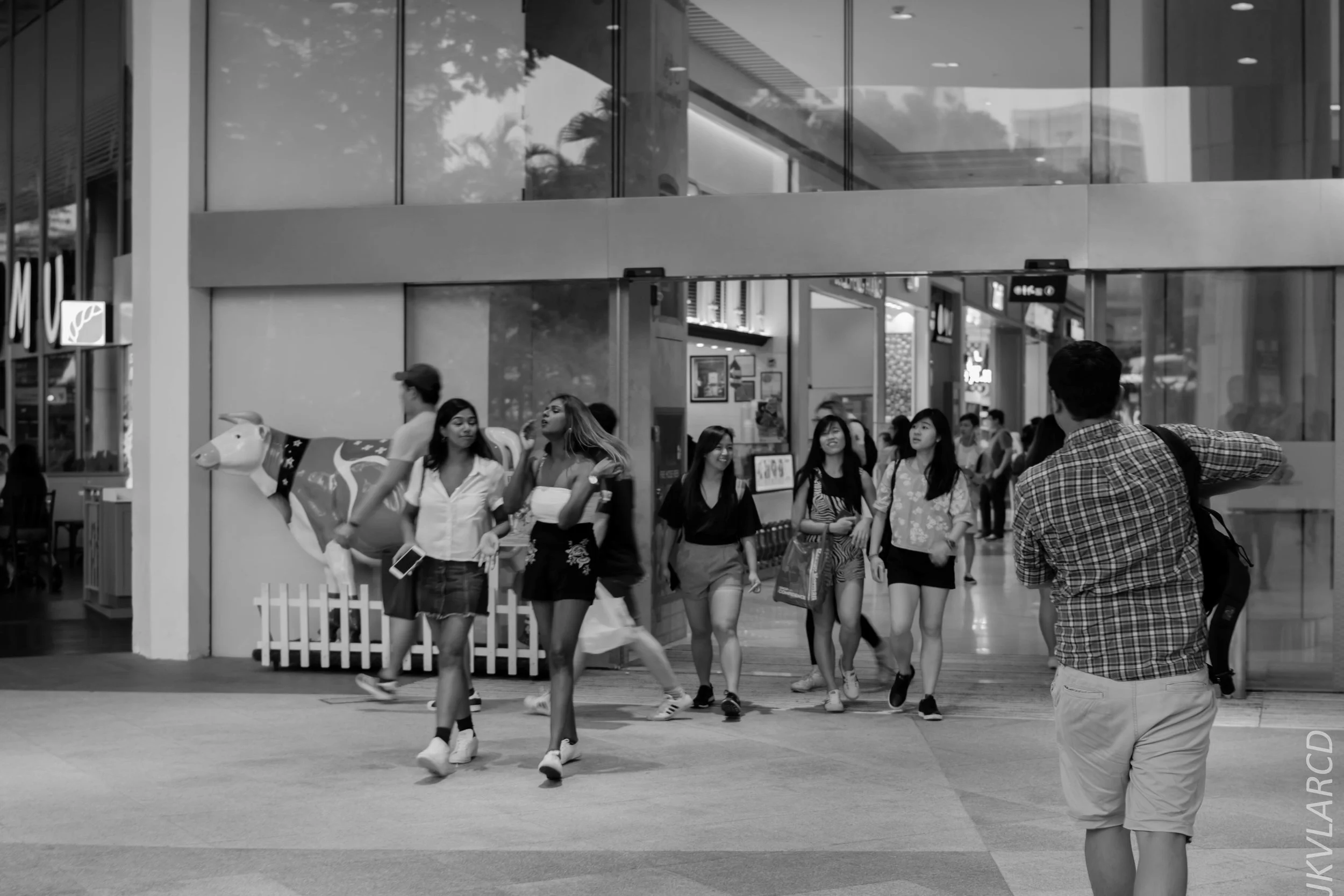 EOS 7D Mark II_2018_05_01_7919.jpg