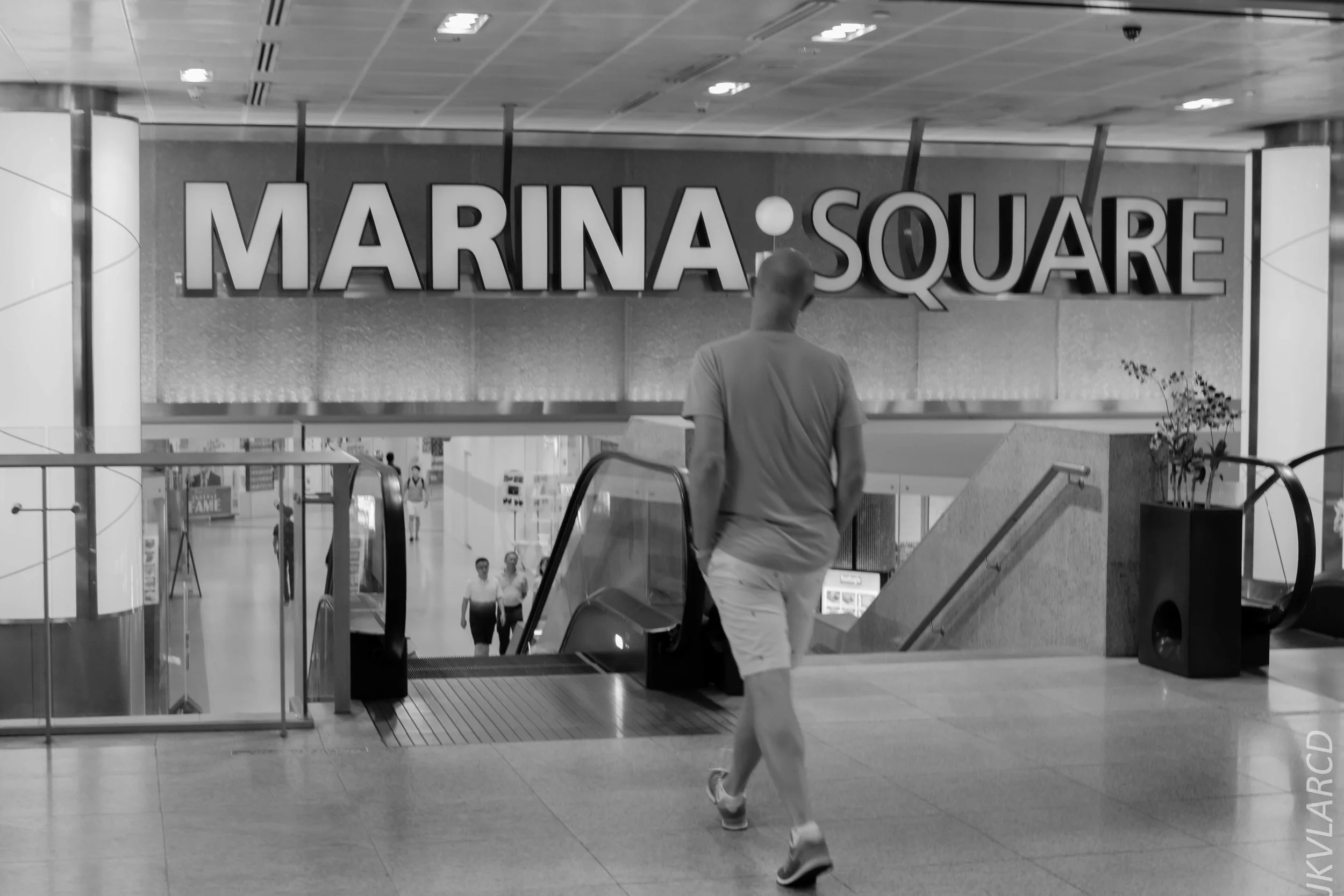 EOS 7D Mark II_2018_05_01_7924.jpg