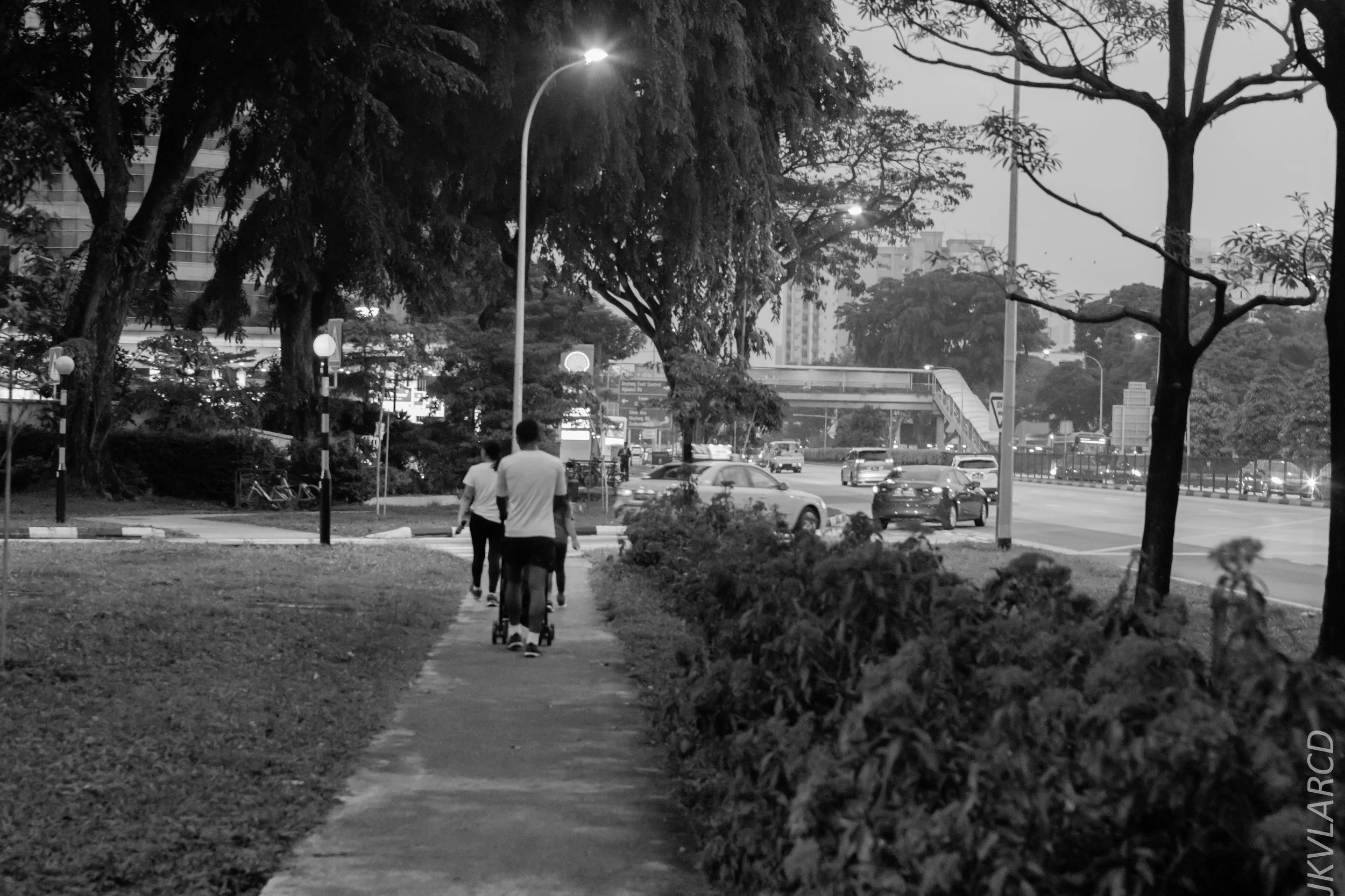 EOS 7D Mark II_2018_05_19_7952.jpg