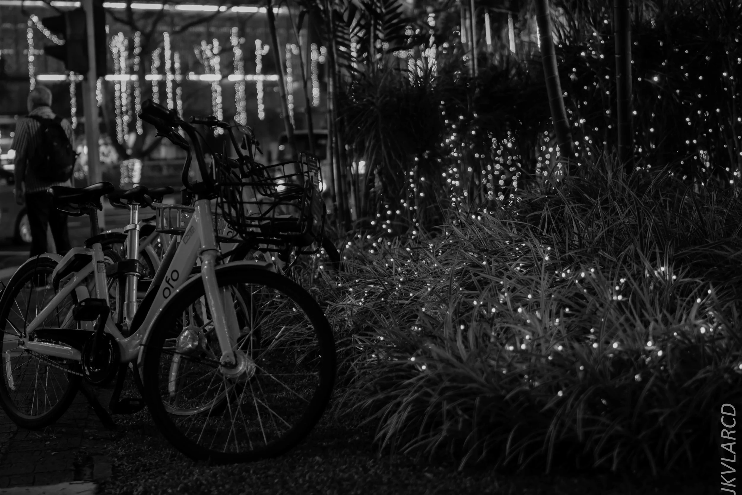 EOS 7D Mark II_2018_05_19_7968.jpg