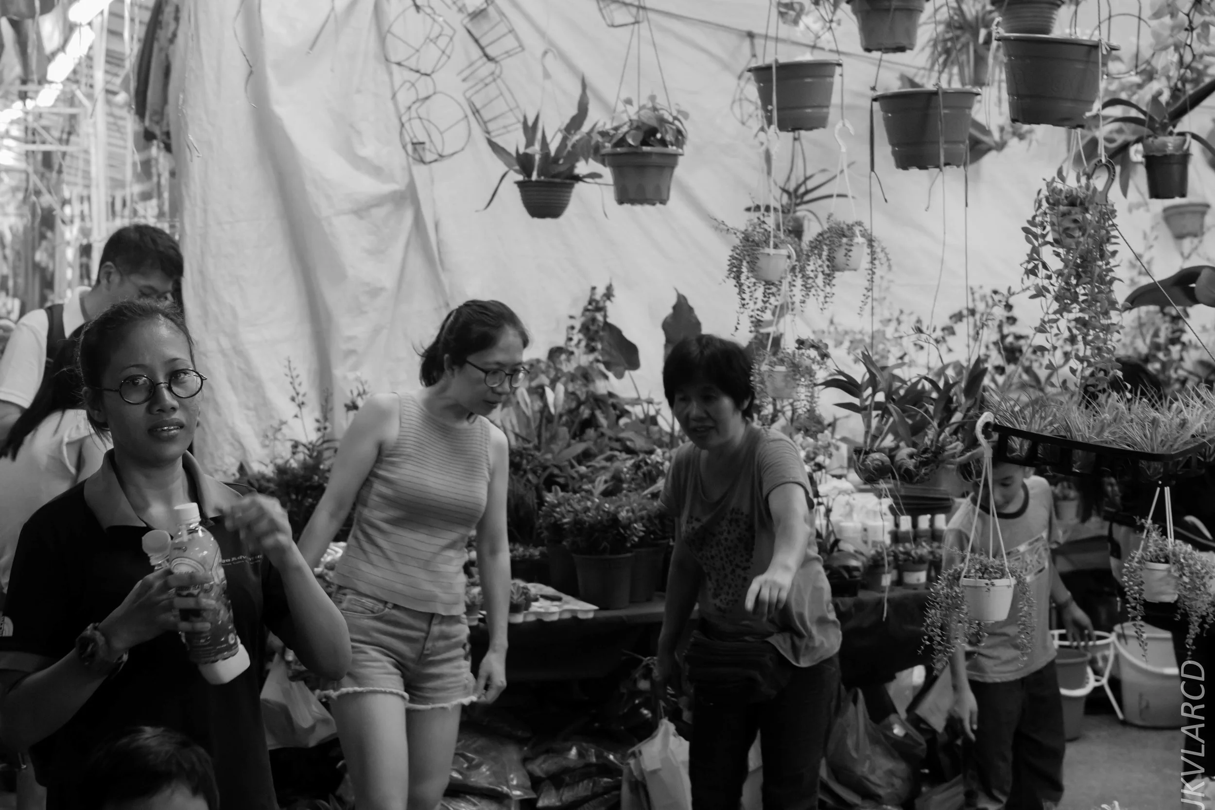 EOS 7D Mark II_2018_05_19_8004.jpg