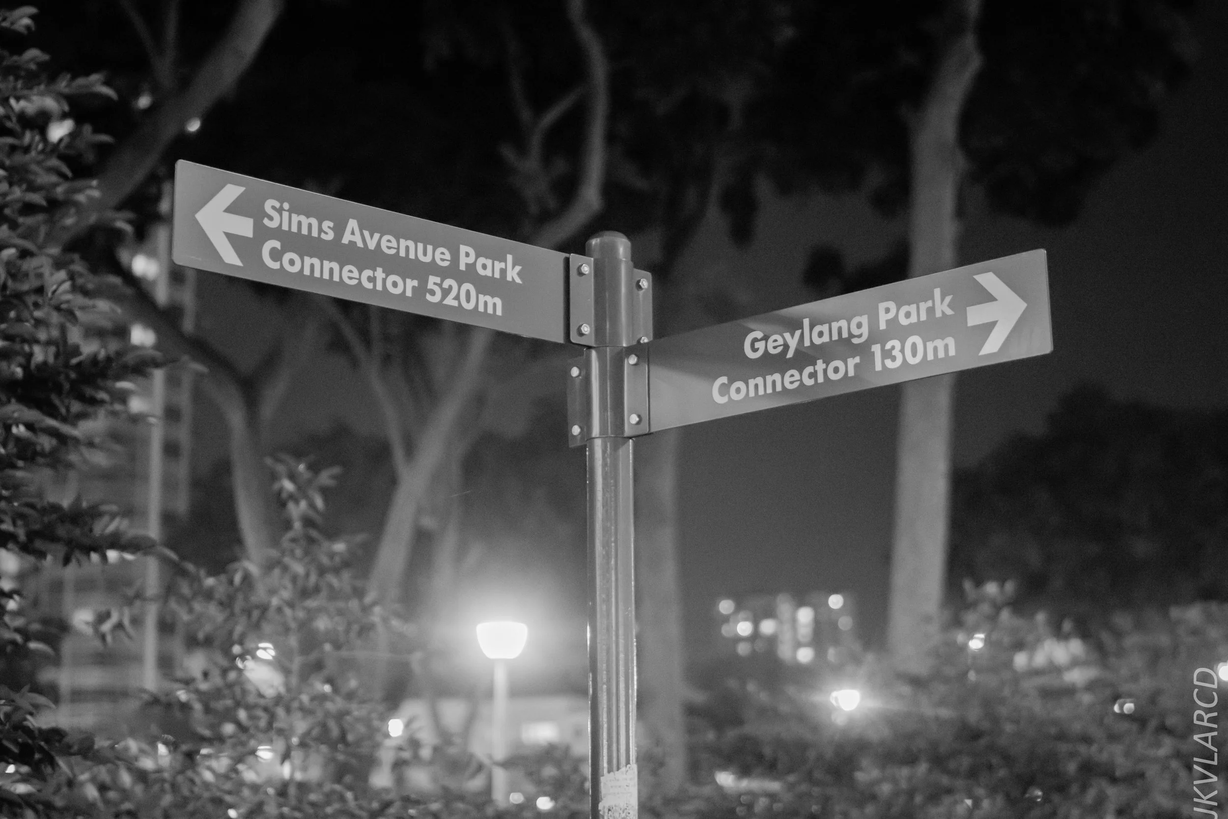 EOS 7D Mark II_2018_05_19_8011.jpg