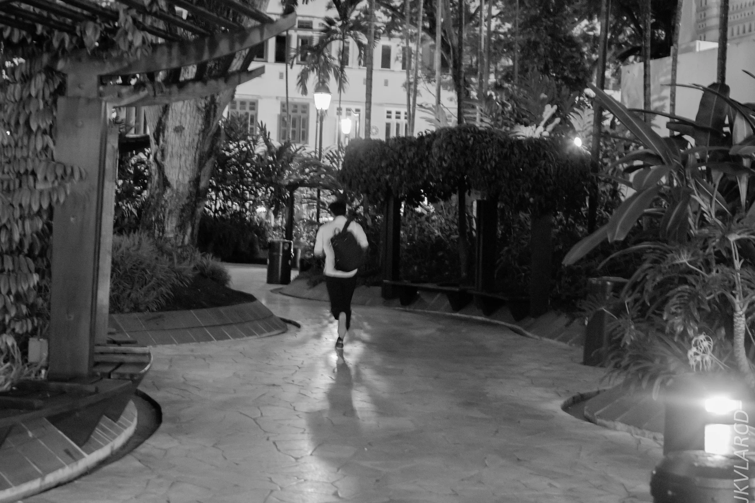 EOS 7D Mark II_2018_06_16_8163.jpg