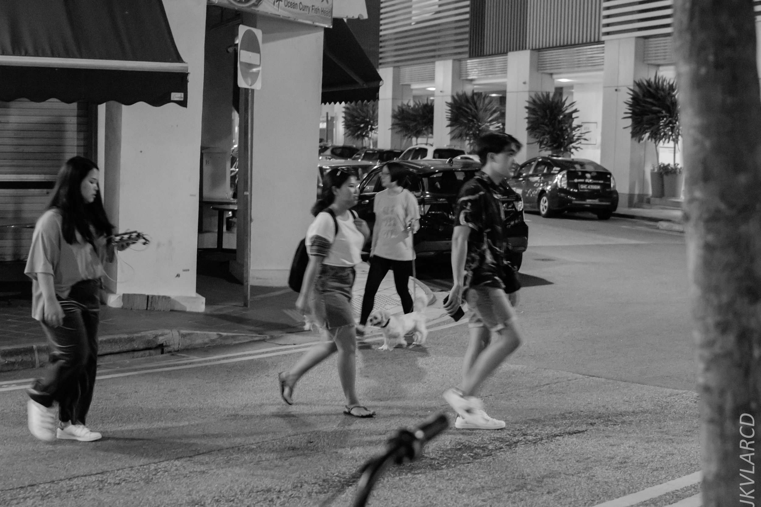 EOS 7D Mark II_2018_06_16_8167.jpg