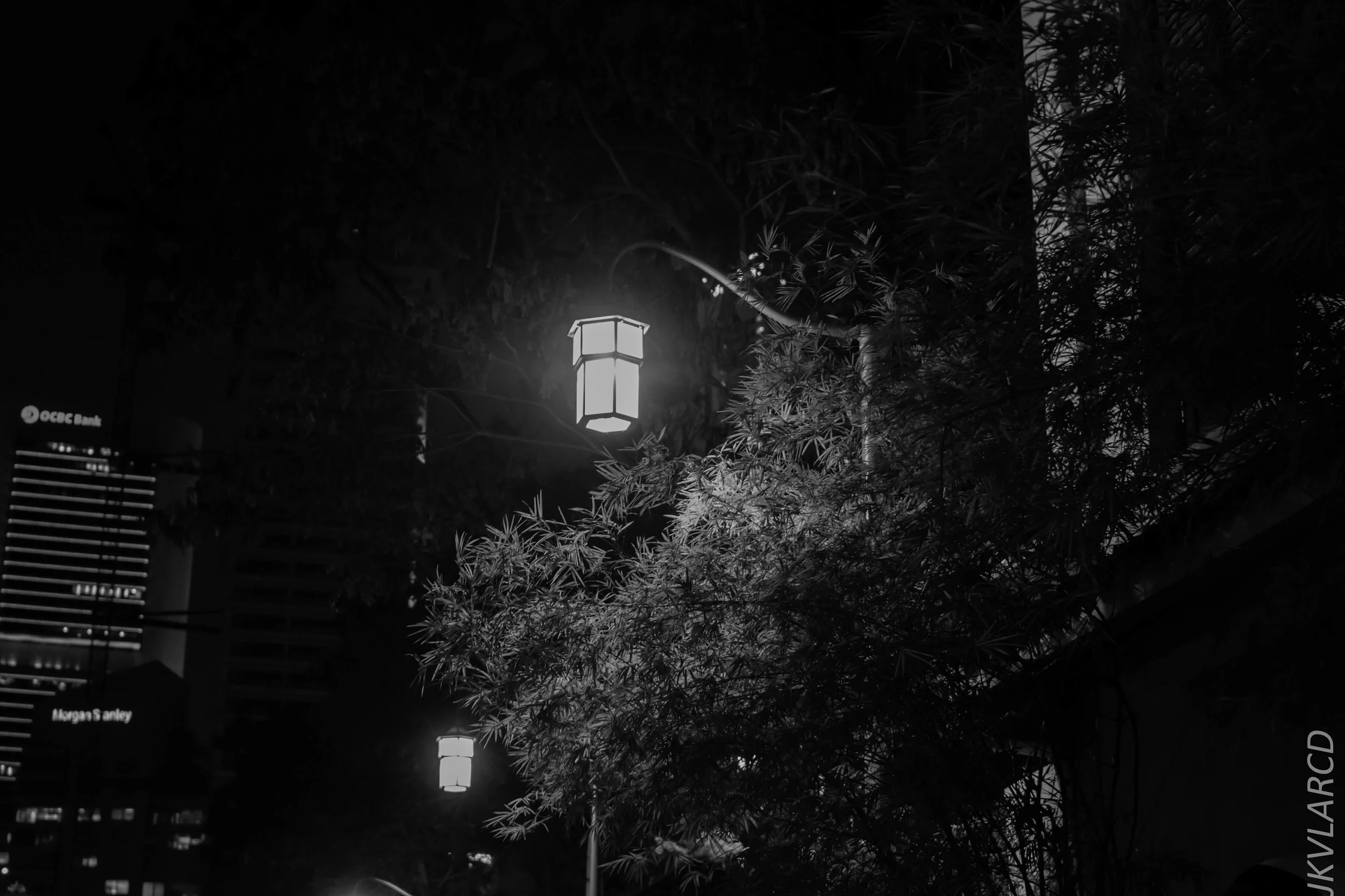 EOS 7D Mark II_2018_06_16_8174.jpg