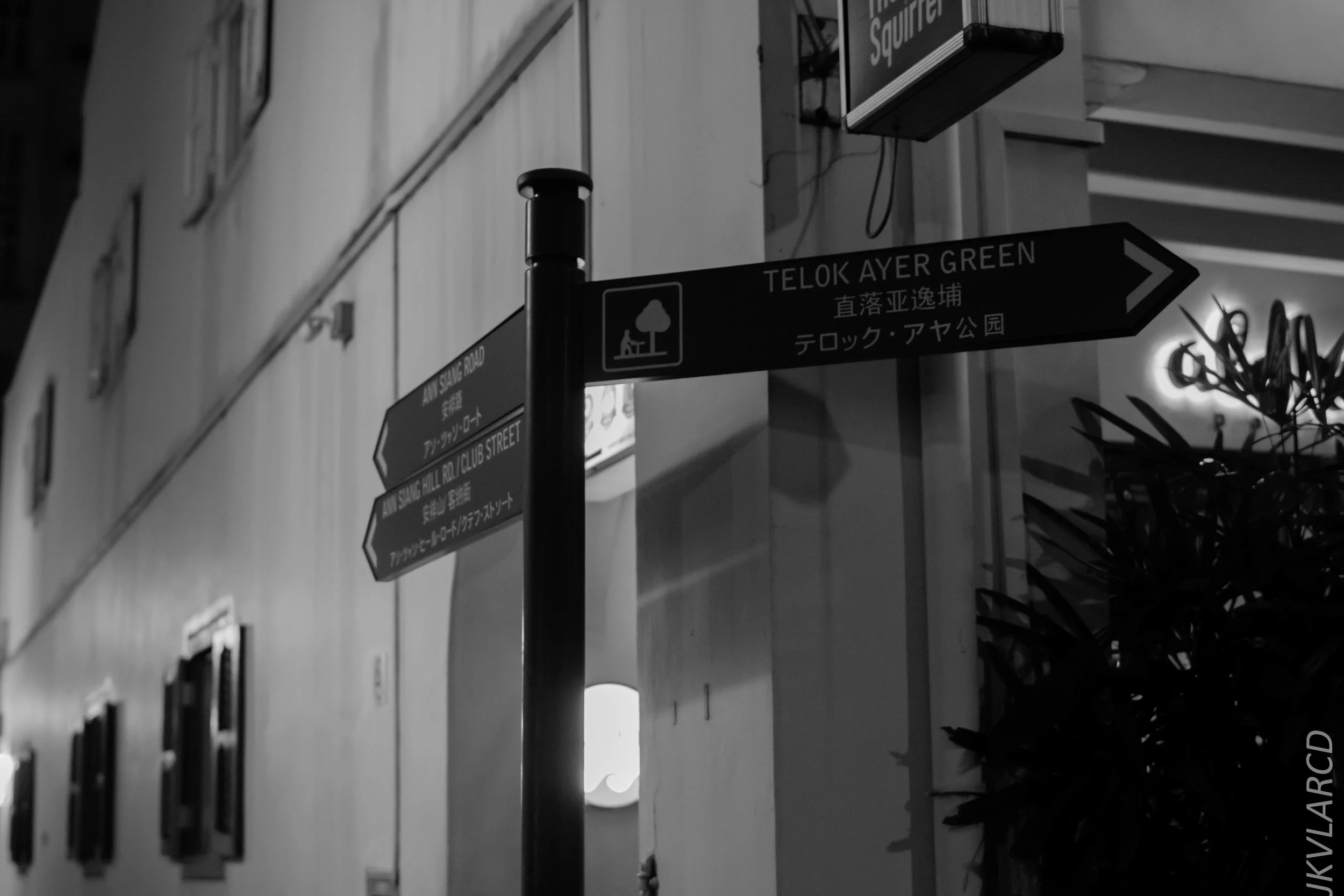 EOS 7D Mark II_2018_06_16_8176.jpg