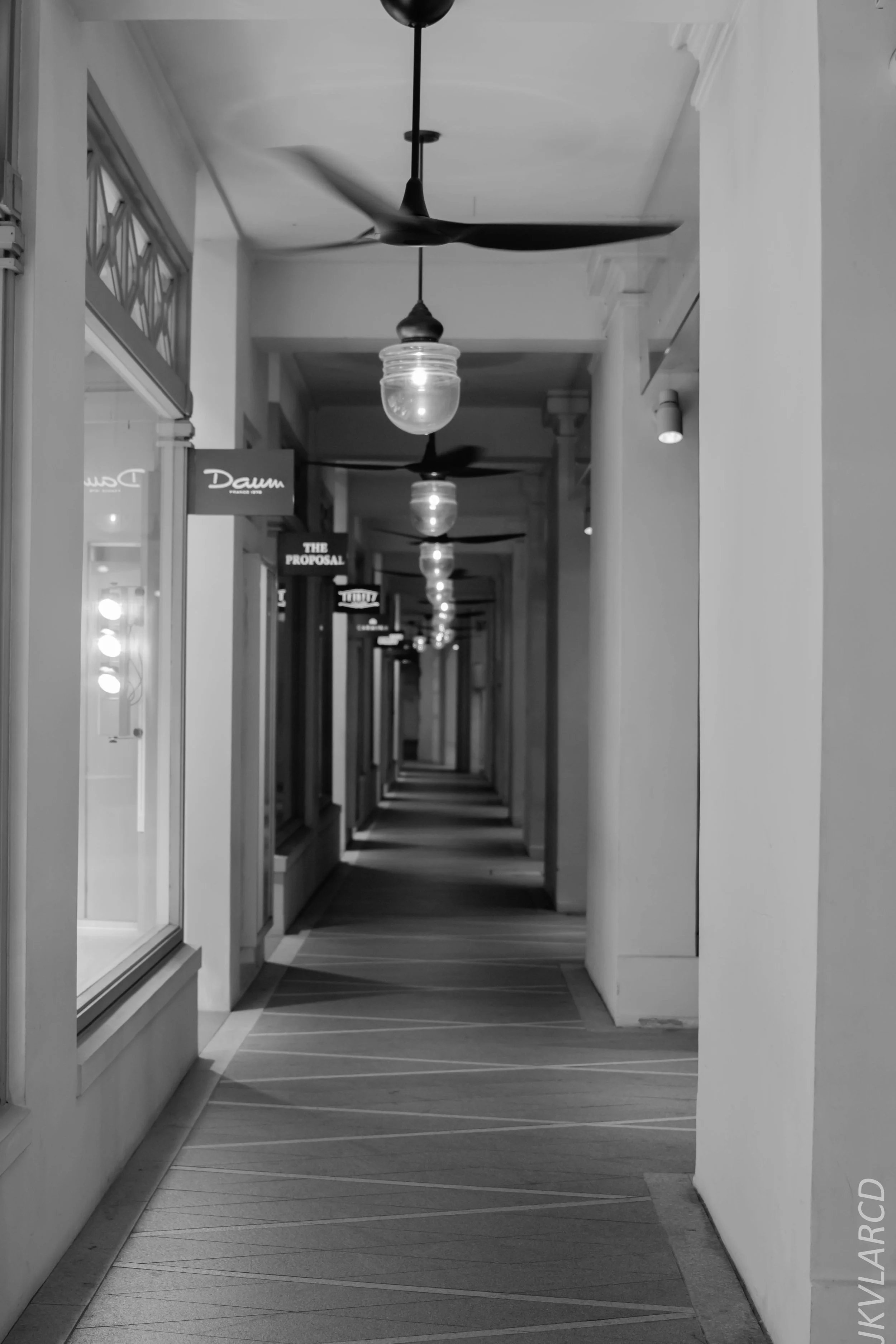 EOS 7D Mark II_2018_06_16_8211.jpg