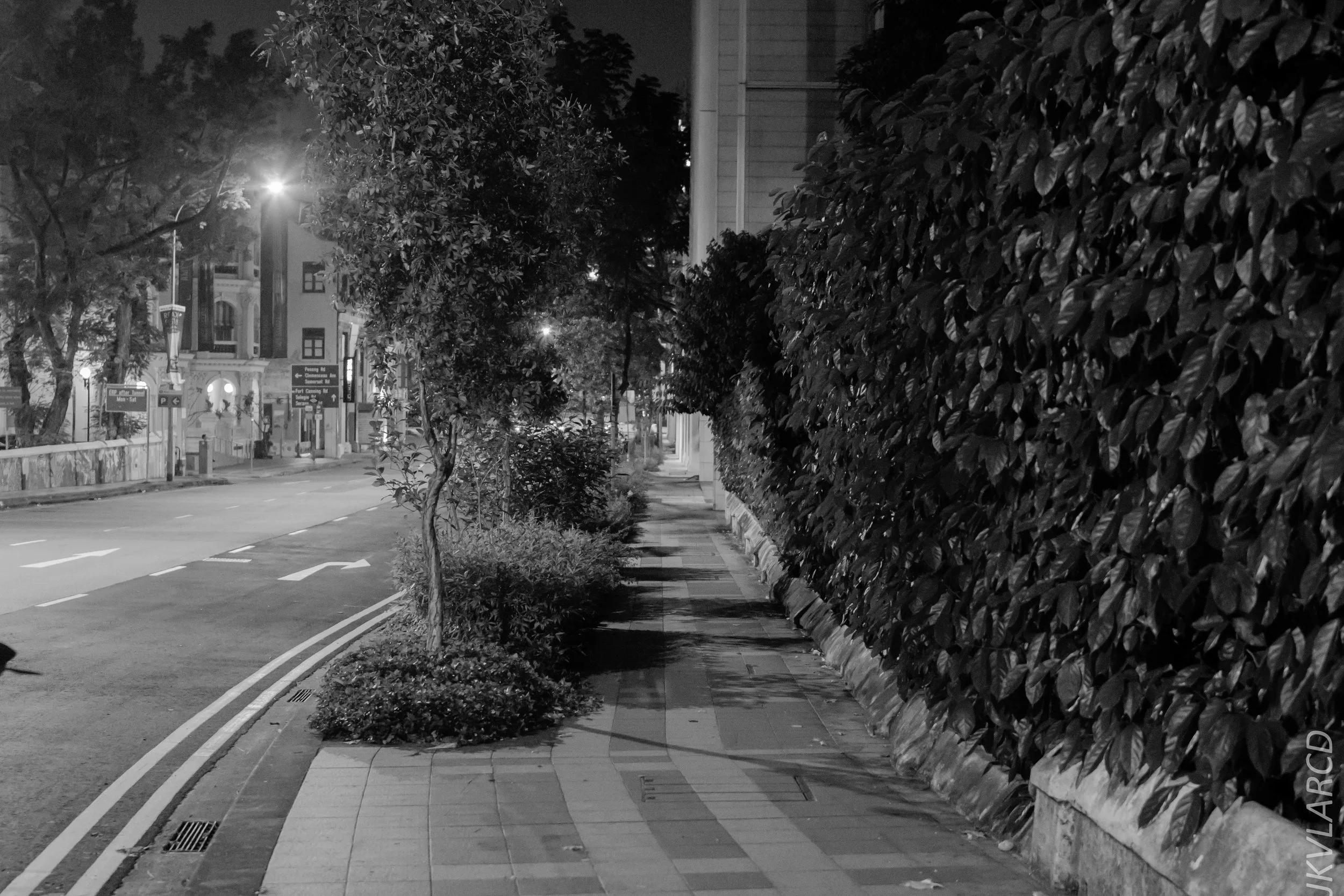 EOS 7D Mark II_2018_06_16_8222.jpg