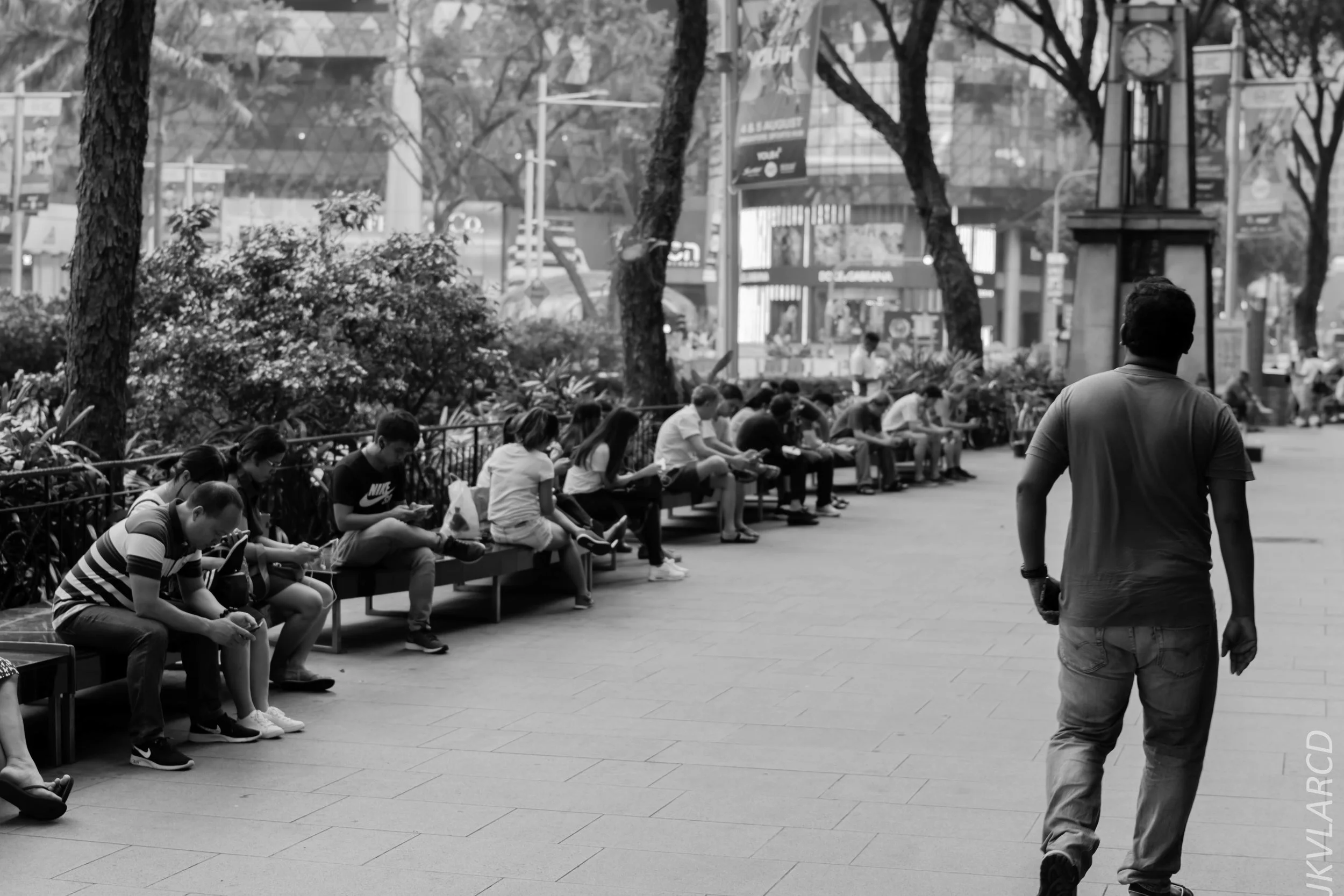 EOS 7D Mark II_2018_07_29_0058.jpg