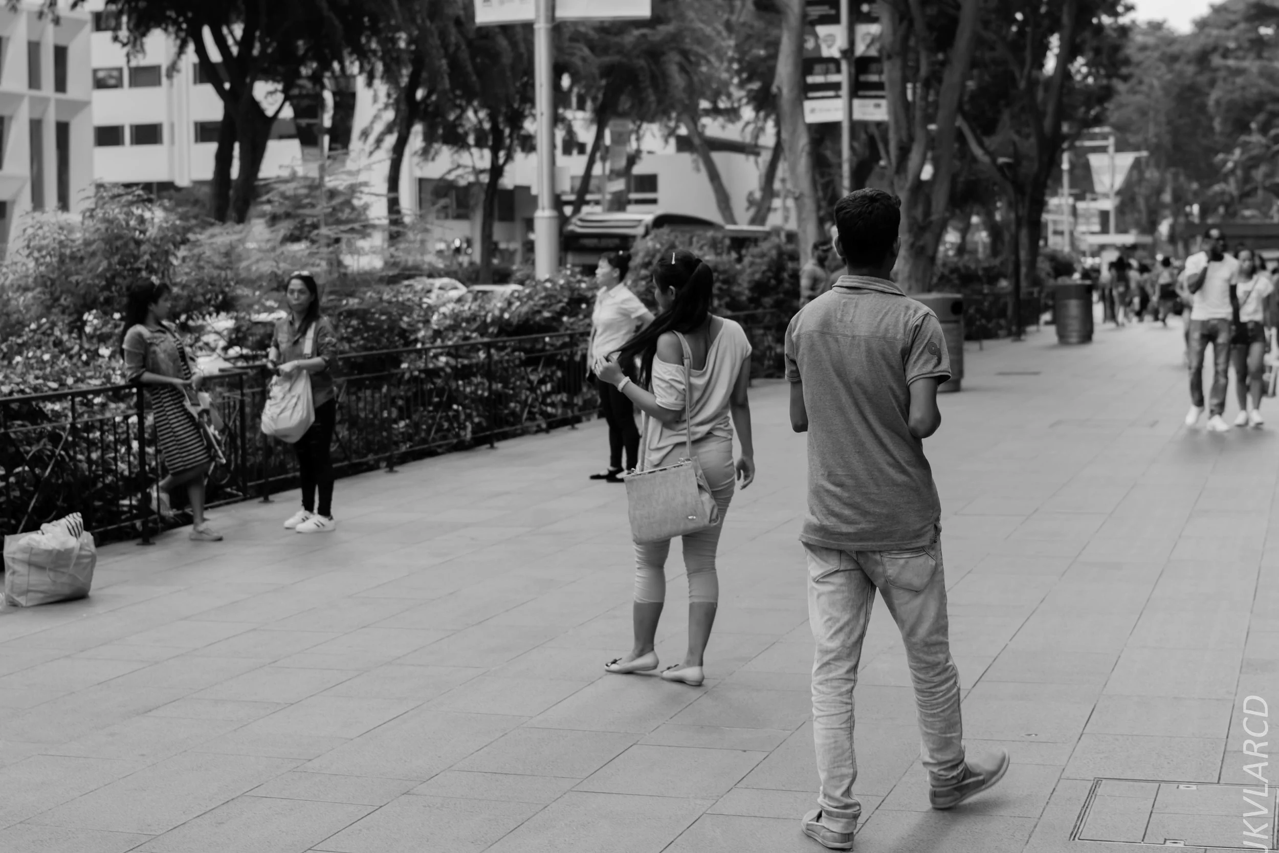 EOS 7D Mark II_2018_07_29_0060.jpg