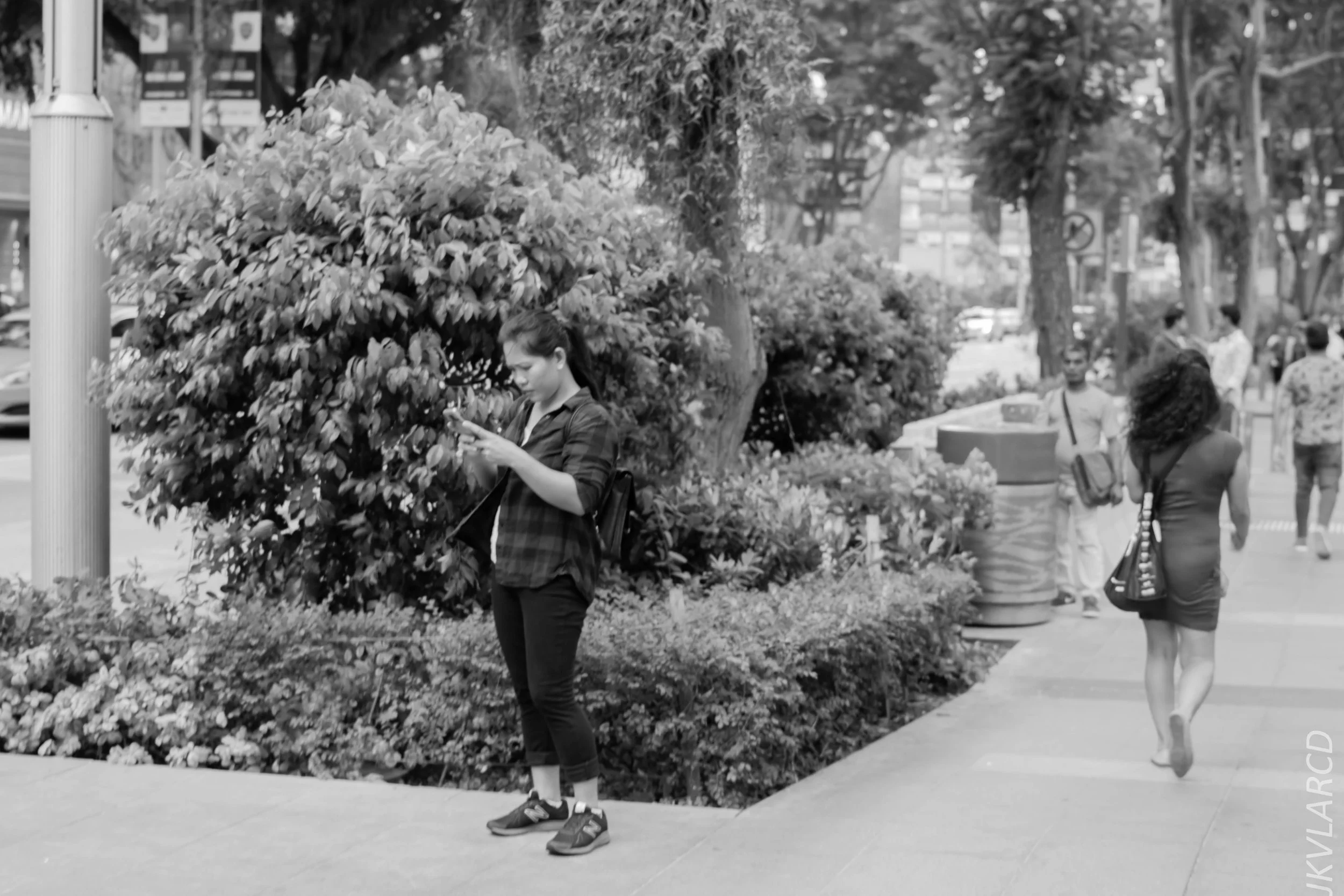 EOS 7D Mark II_2018_07_29_0062.jpg