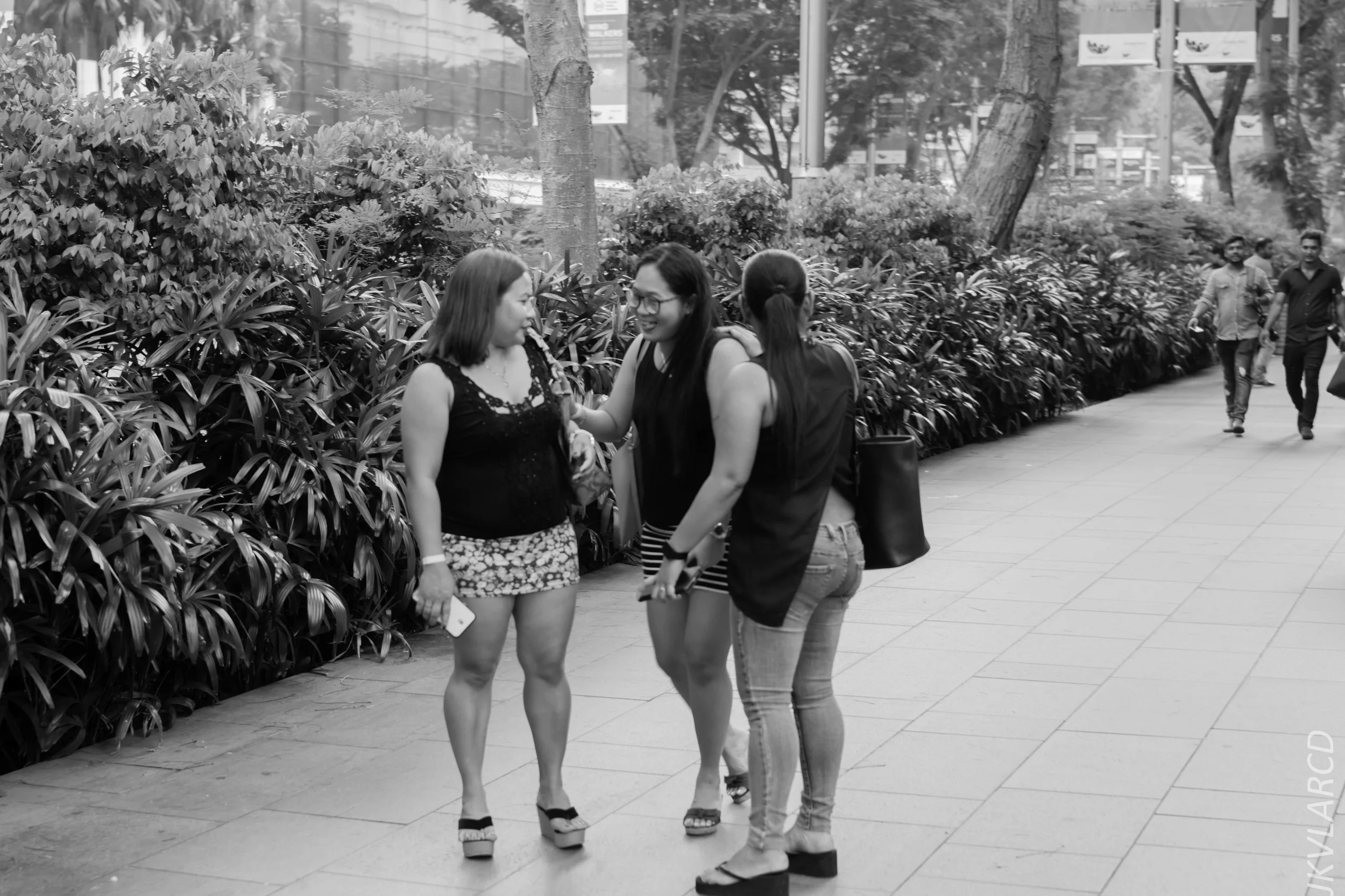 EOS 7D Mark II_2018_07_29_0063.jpg