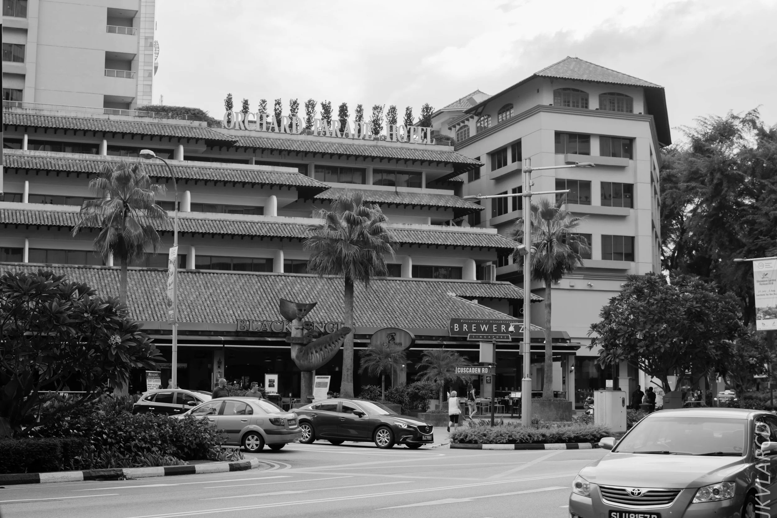 EOS 7D Mark II_2018_07_29_0069.jpg