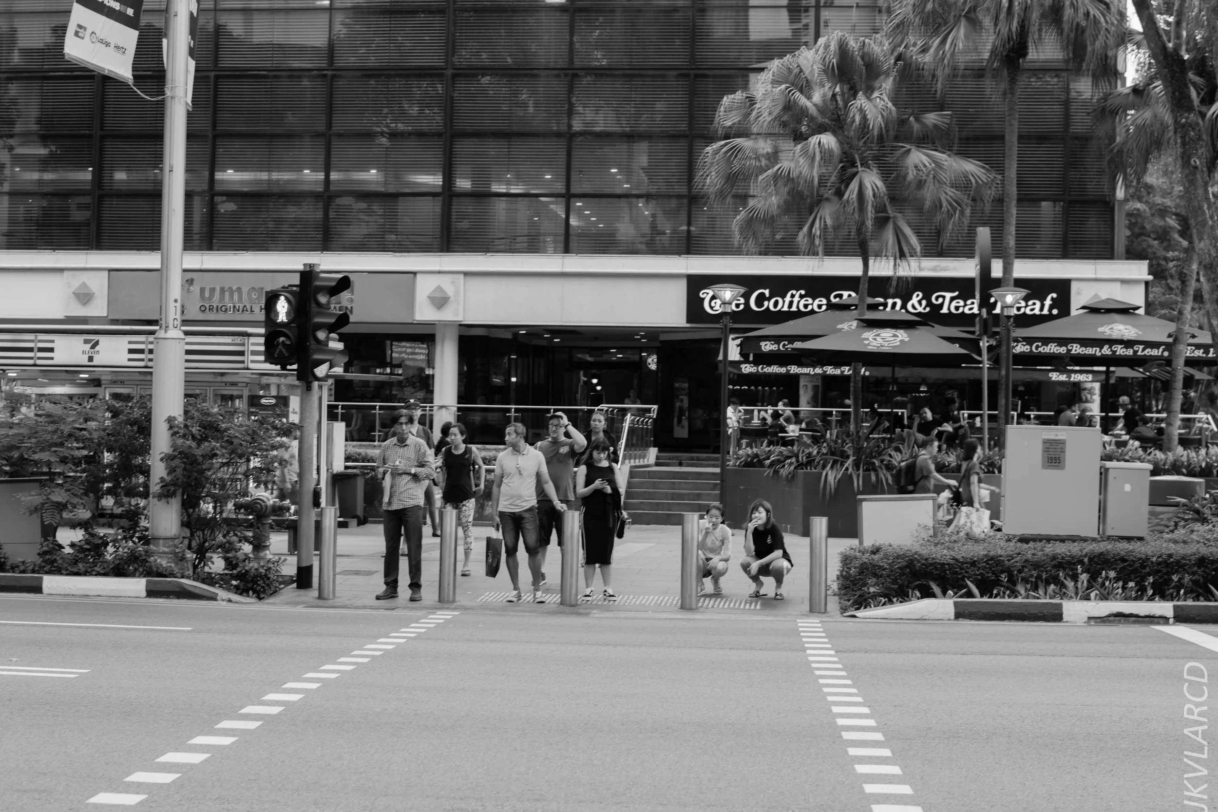 EOS 7D Mark II_2018_07_29_0070.jpg