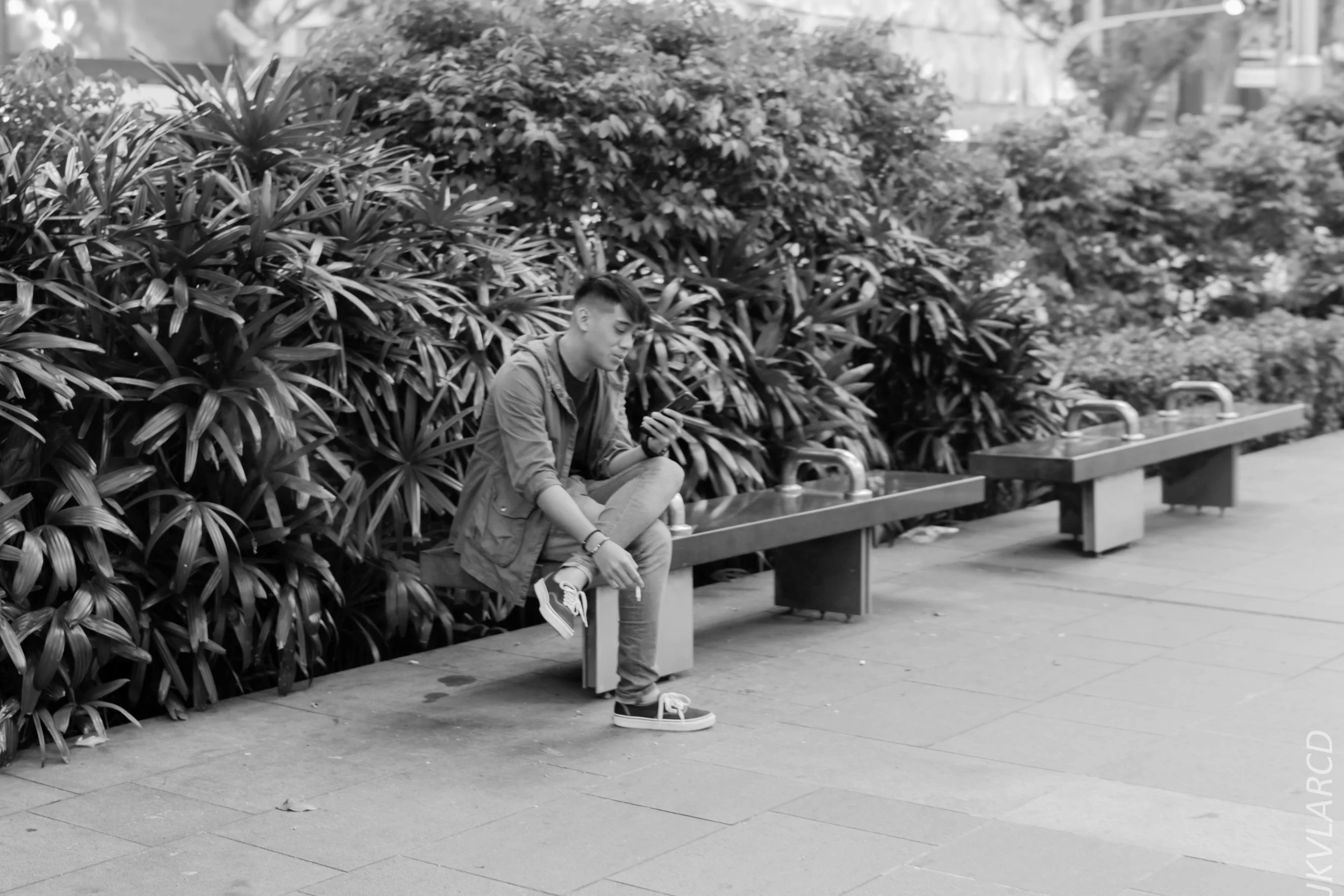 EOS 7D Mark II_2018_07_29_0077.jpg