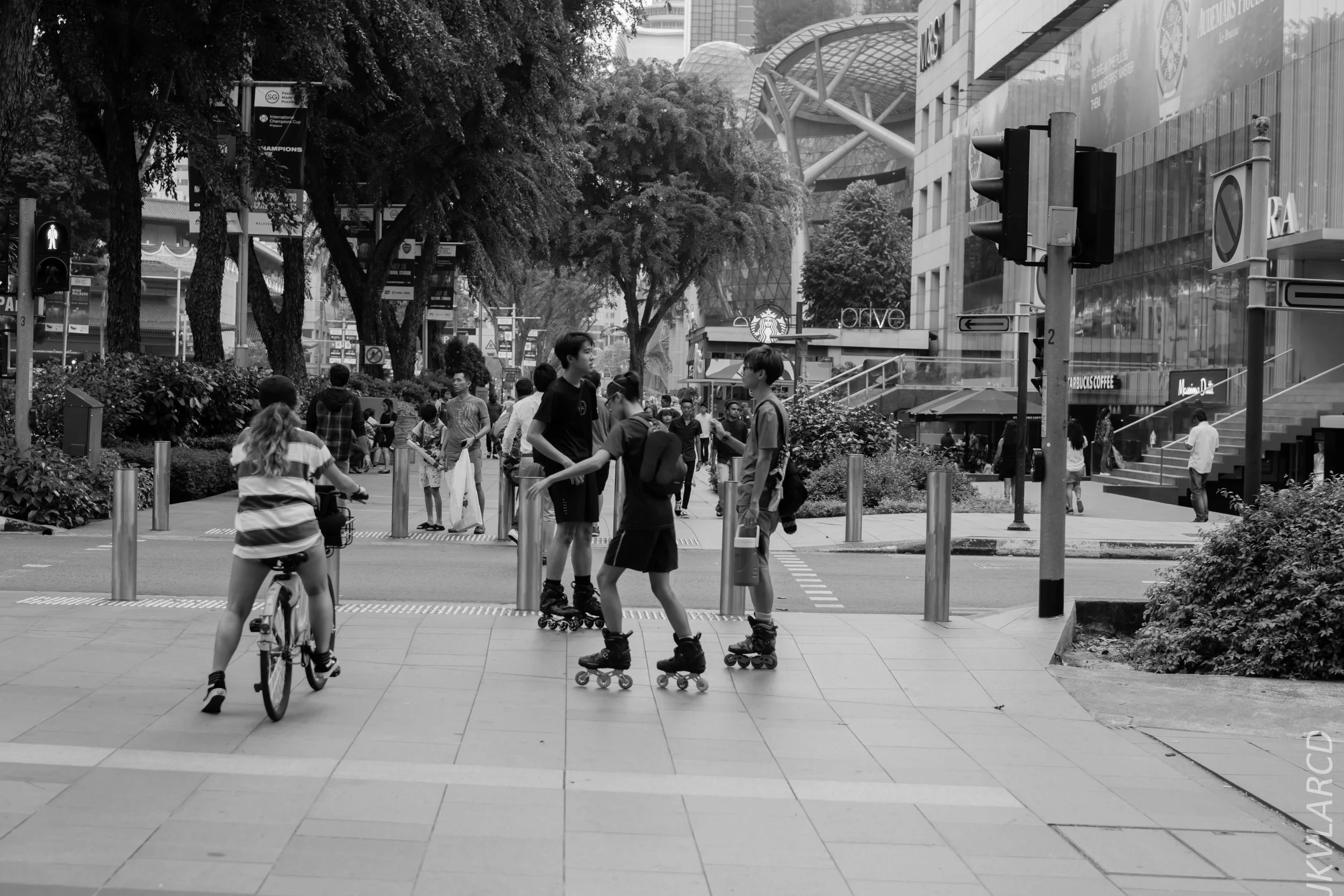 EOS 7D Mark II_2018_07_29_0078.jpg