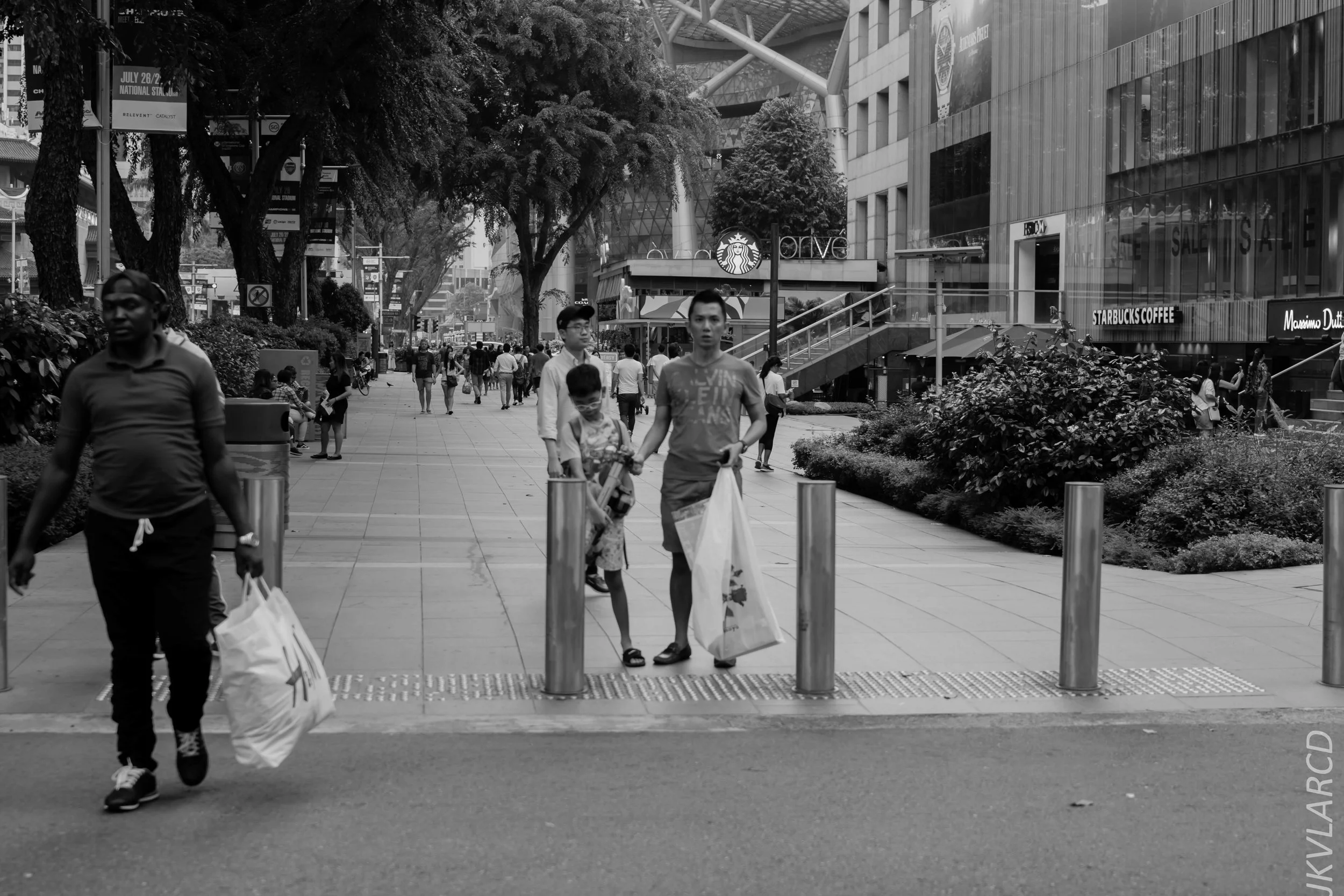 EOS 7D Mark II_2018_07_29_0079.jpg