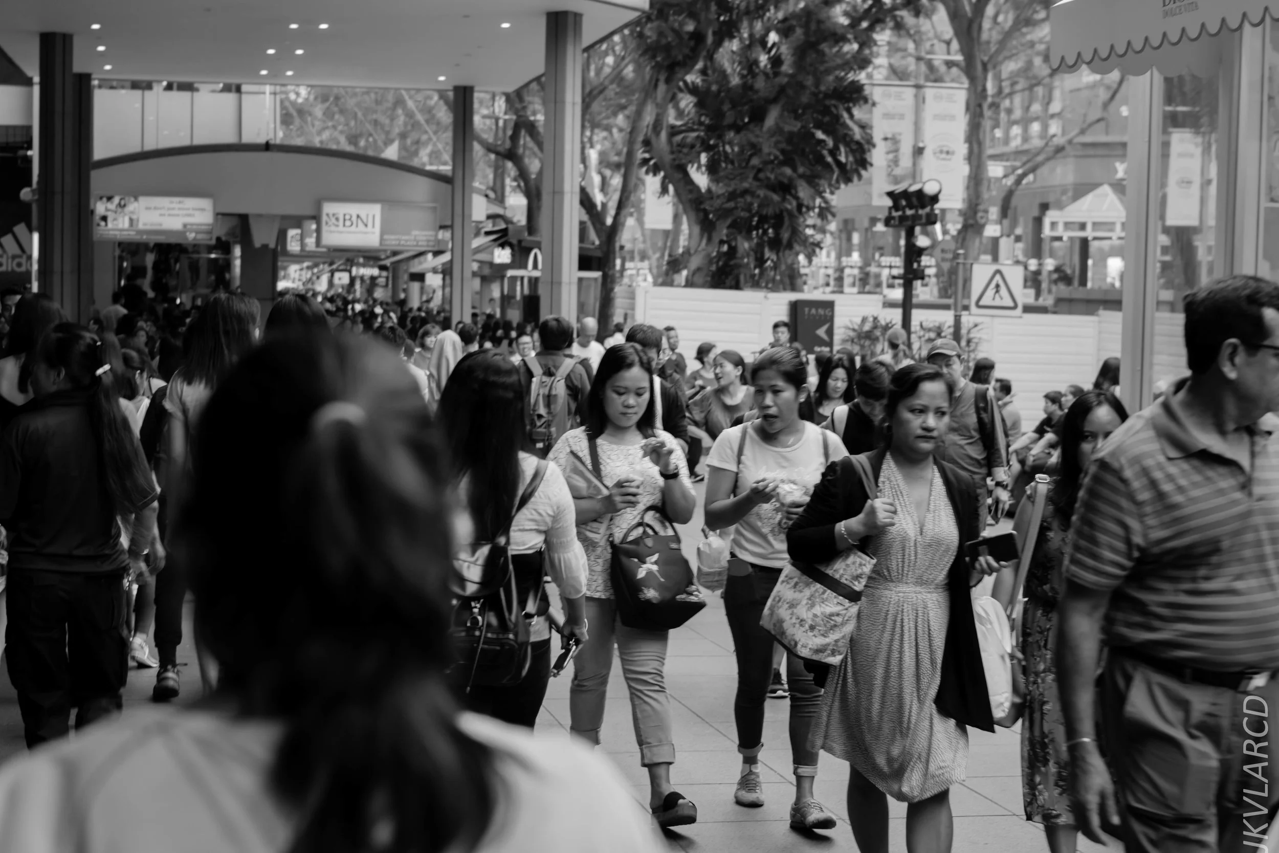 EOS 7D Mark II_2018_07_29_0085.jpg