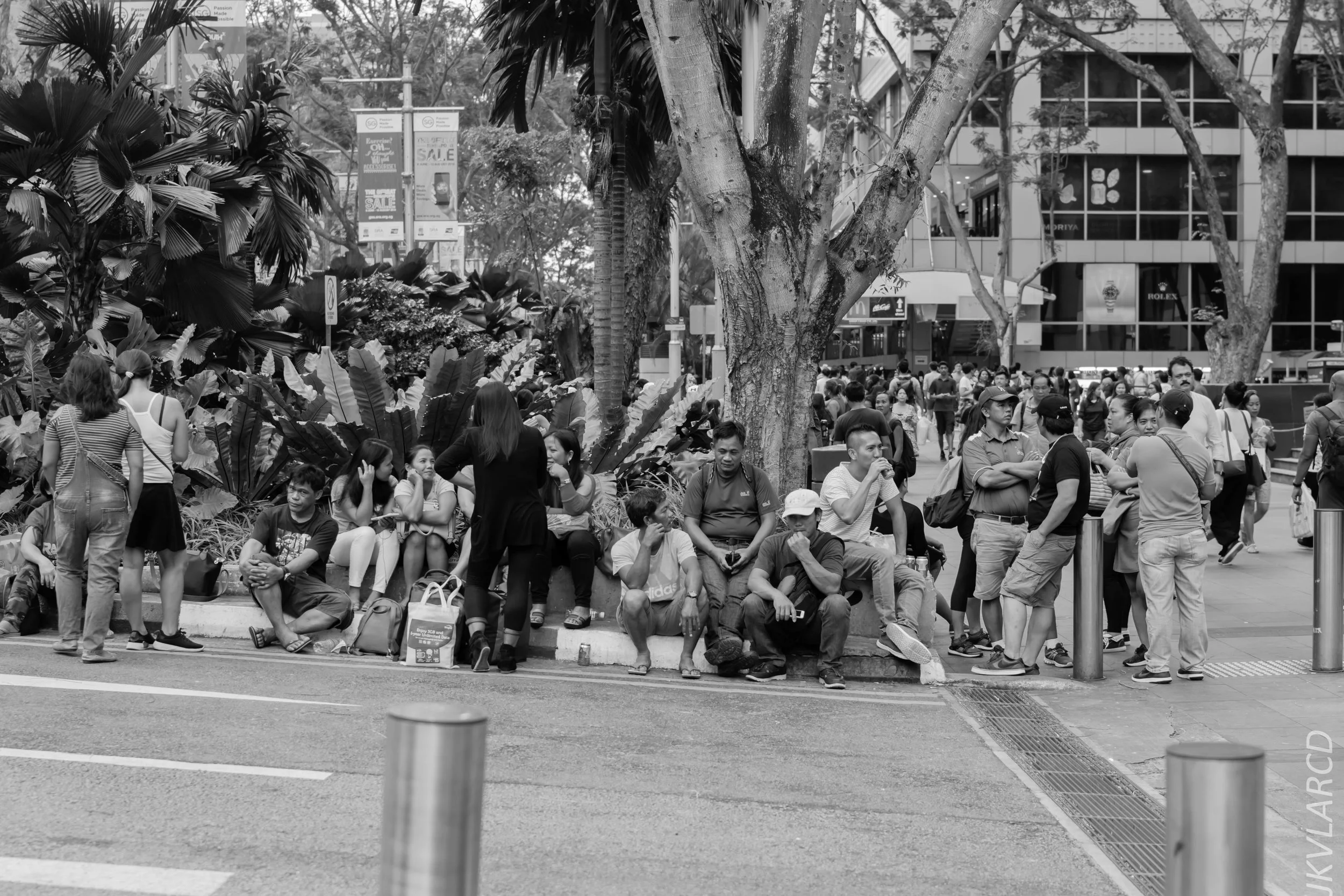 EOS 7D Mark II_2018_07_29_0092.jpg