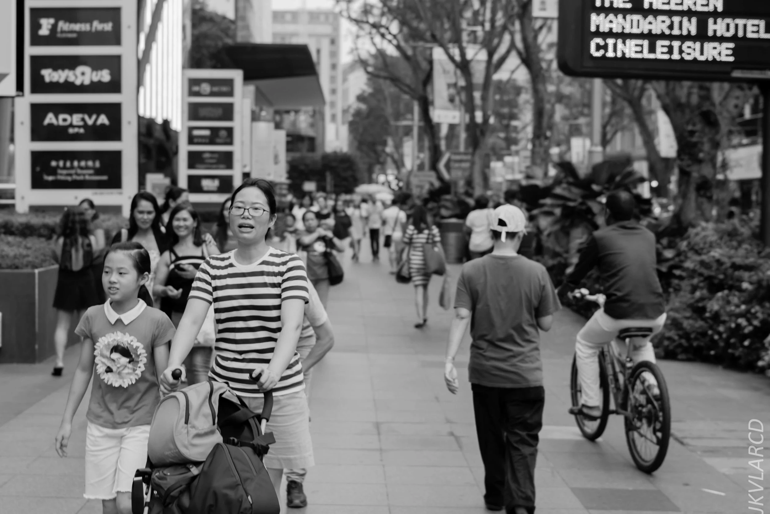 EOS 7D Mark II_2018_07_29_0093.jpg