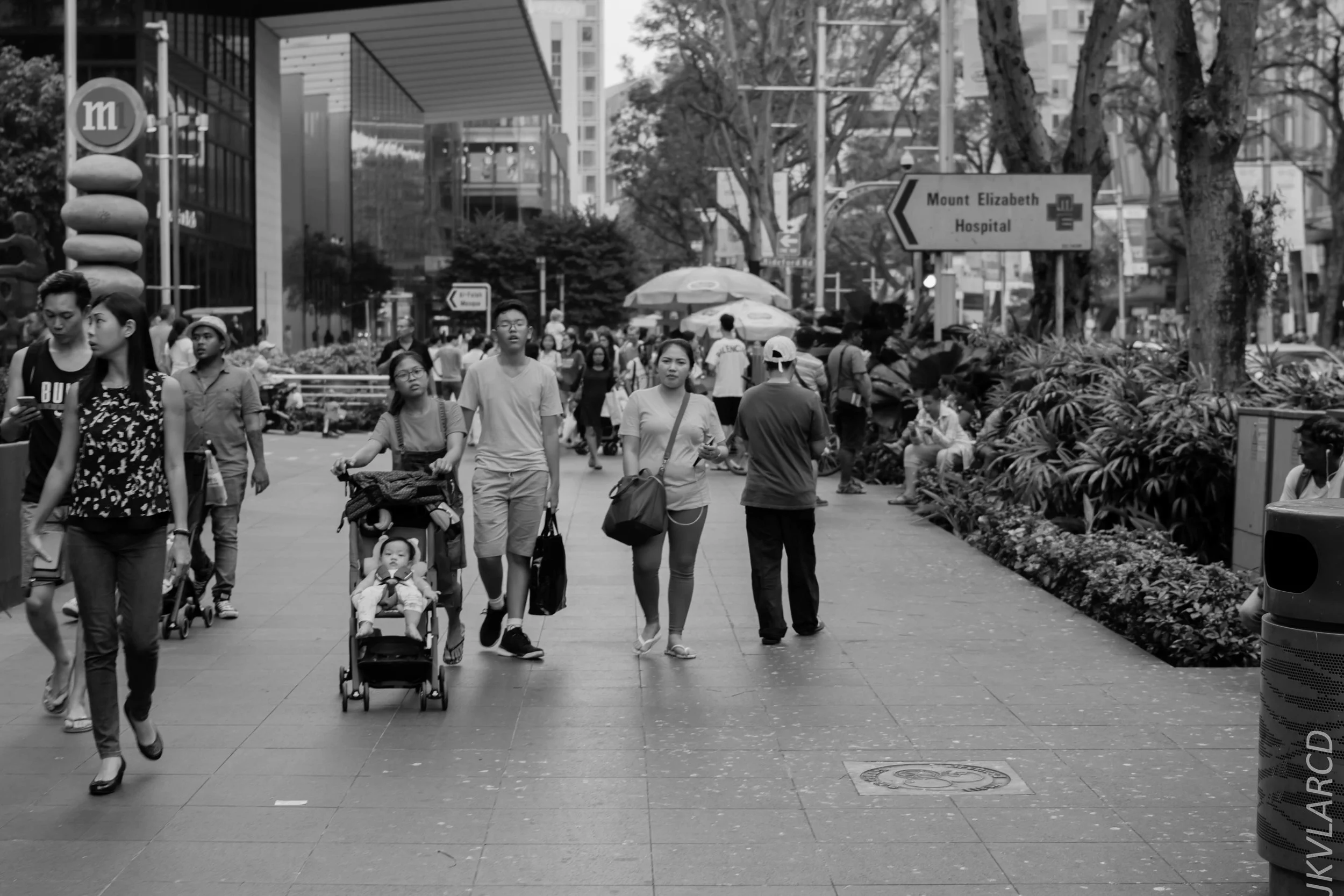 EOS 7D Mark II_2018_07_29_0094.jpg