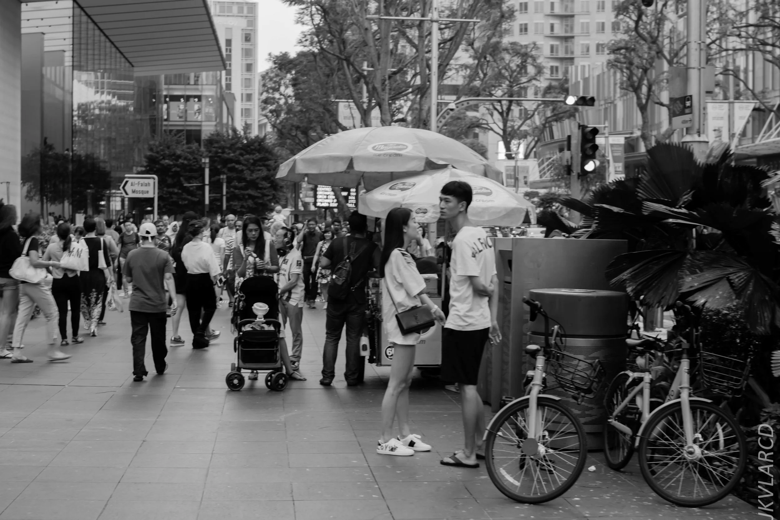 EOS 7D Mark II_2018_07_29_0095.jpg