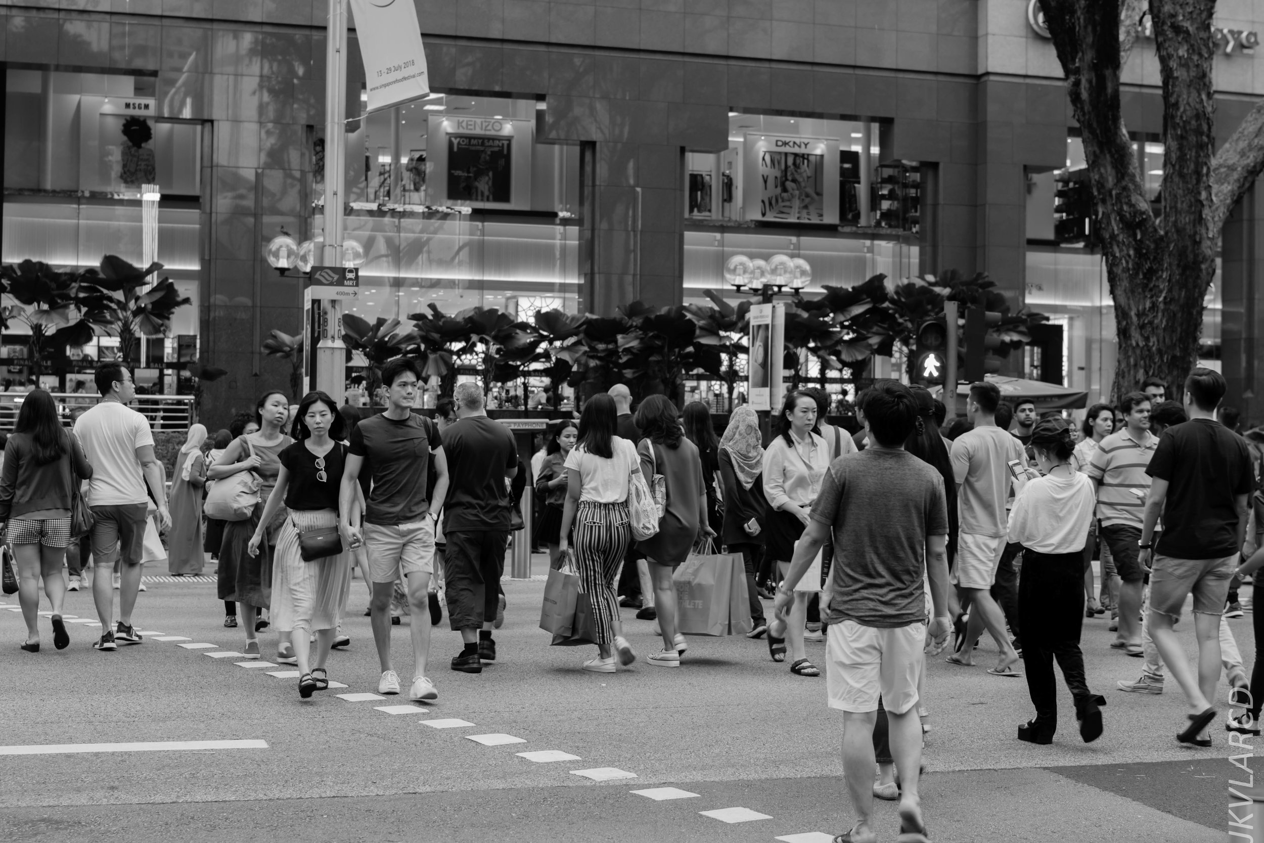 EOS 7D Mark II_2018_07_29_0097.jpg