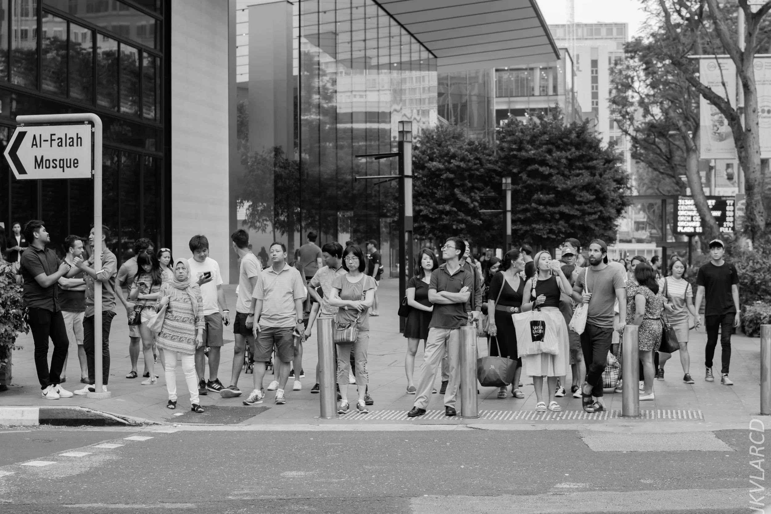 EOS 7D Mark II_2018_07_29_0098.jpg