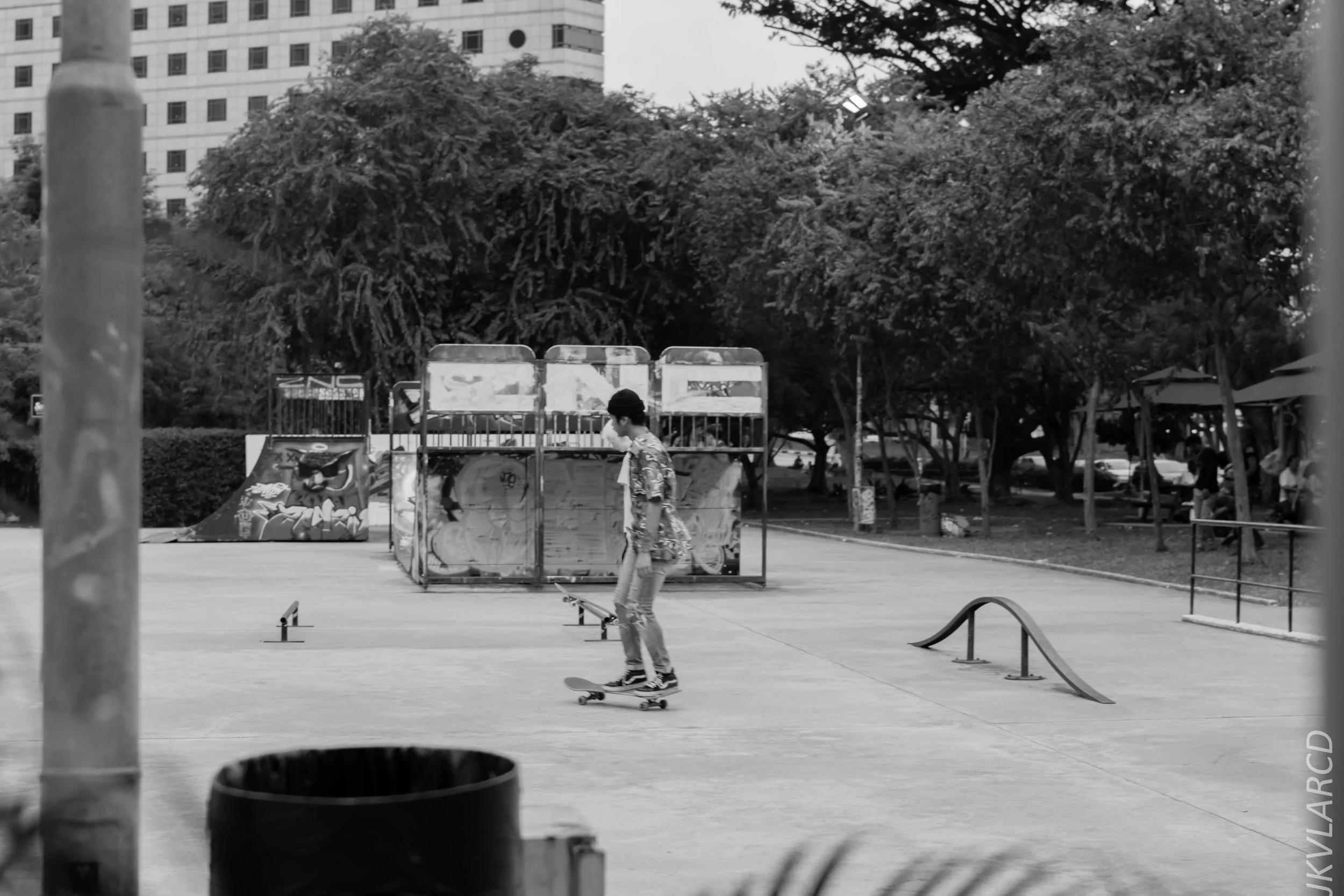 EOS 7D Mark II_2018_07_29_0105.jpg