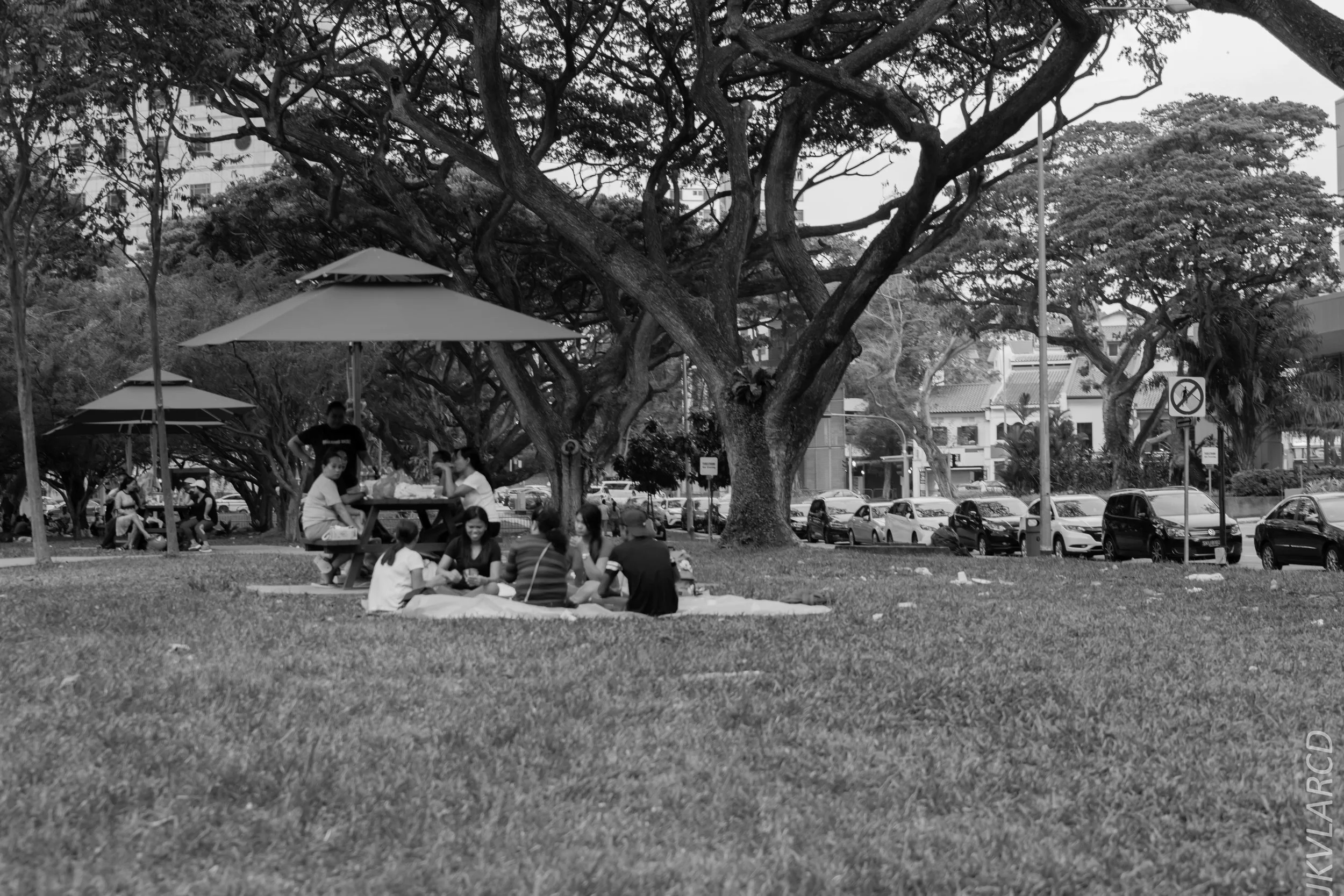 EOS 7D Mark II_2018_07_29_0106.jpg