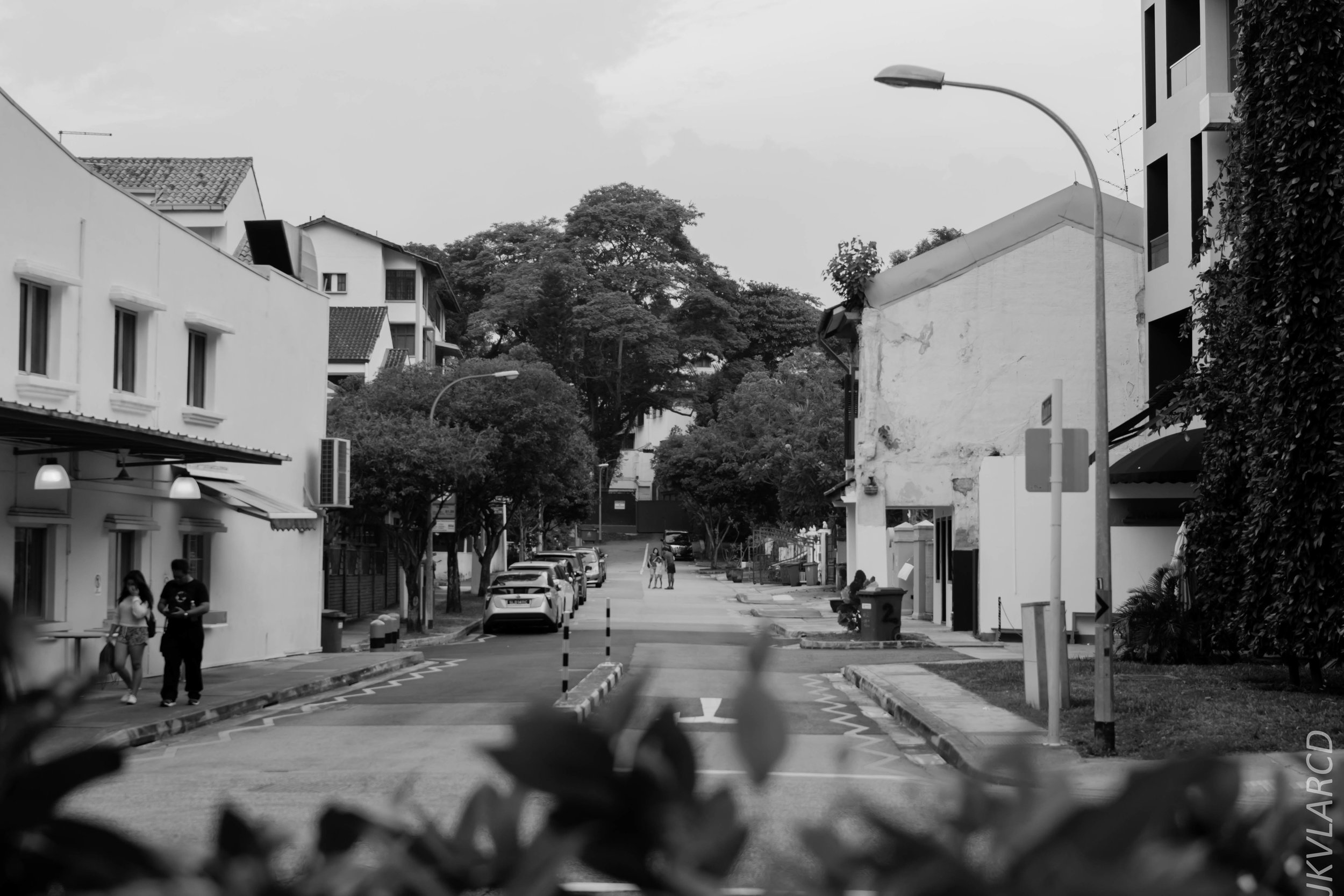 EOS 7D Mark II_2018_07_29_0110.jpg