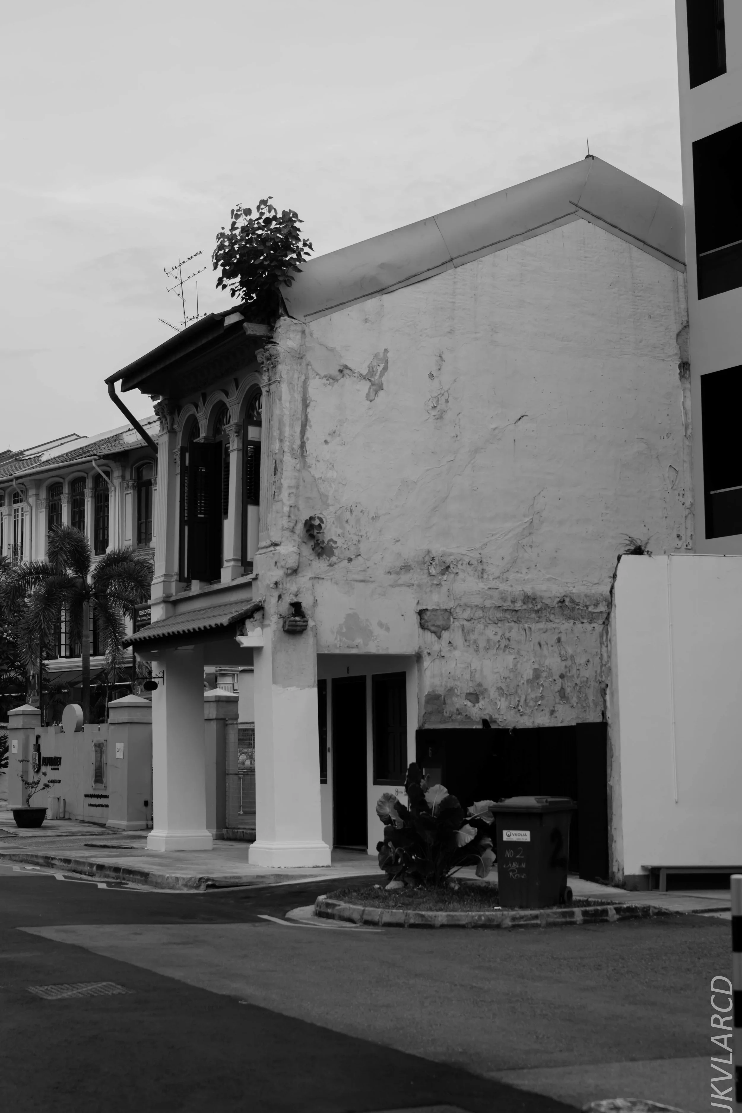 EOS 7D Mark II_2018_07_29_0117.jpg