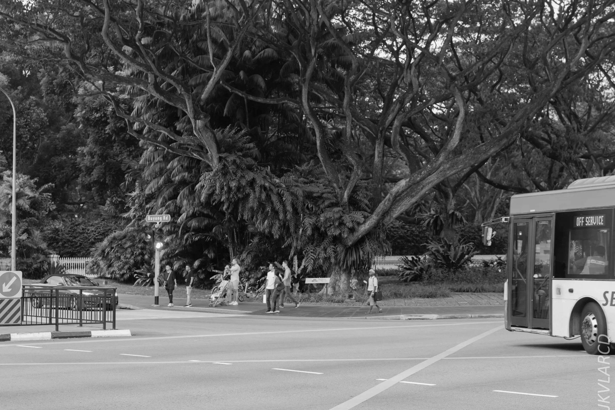 EOS 7D Mark II_2018_07_29_0121.jpg