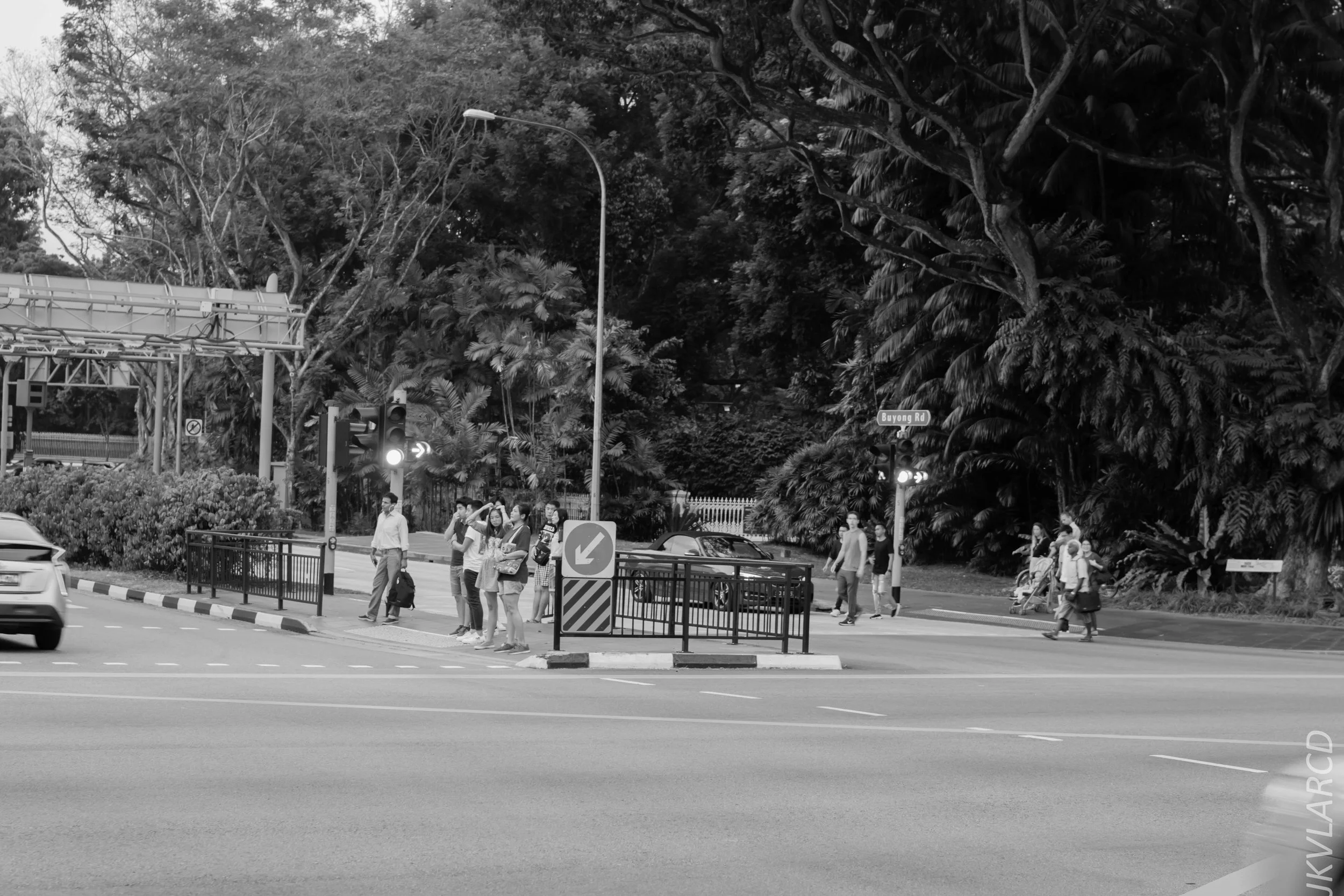 EOS 7D Mark II_2018_07_29_0122.jpg