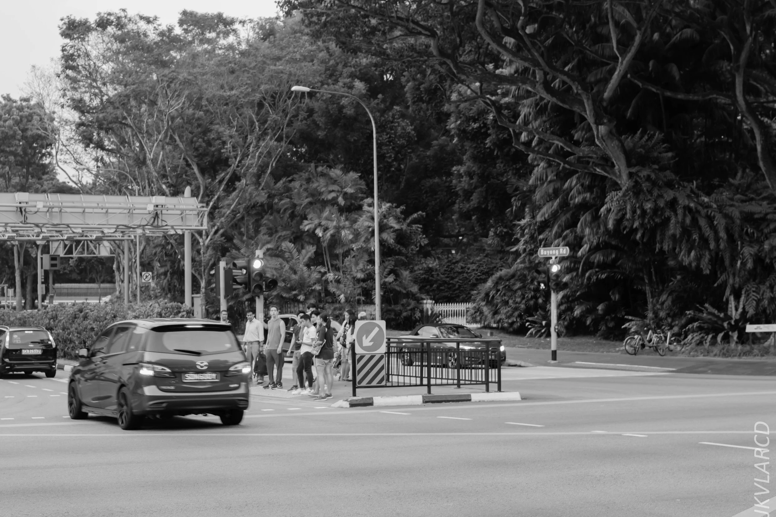 EOS 7D Mark II_2018_07_29_0123.jpg