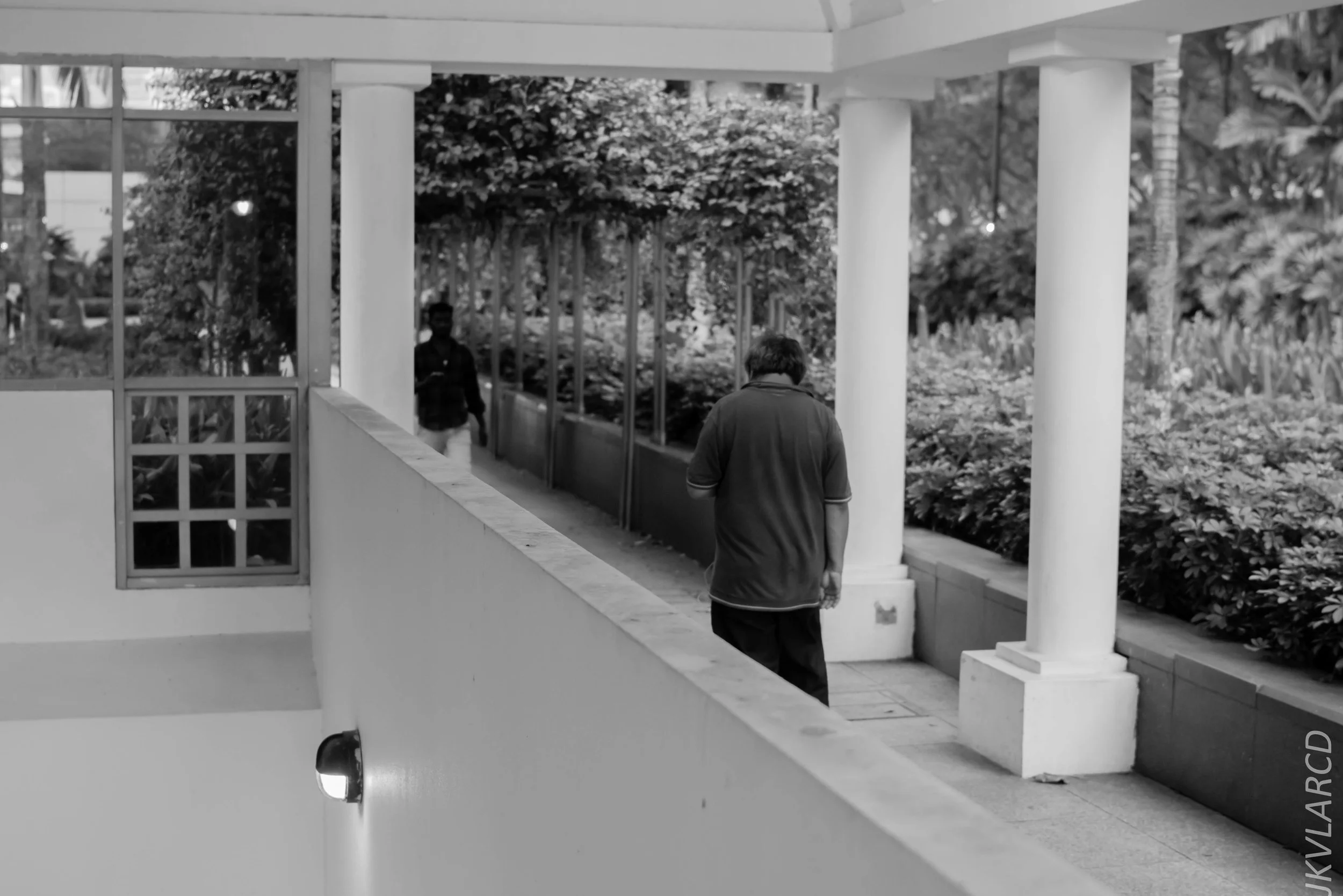 EOS 7D Mark II_2018_07_29_0142.jpg