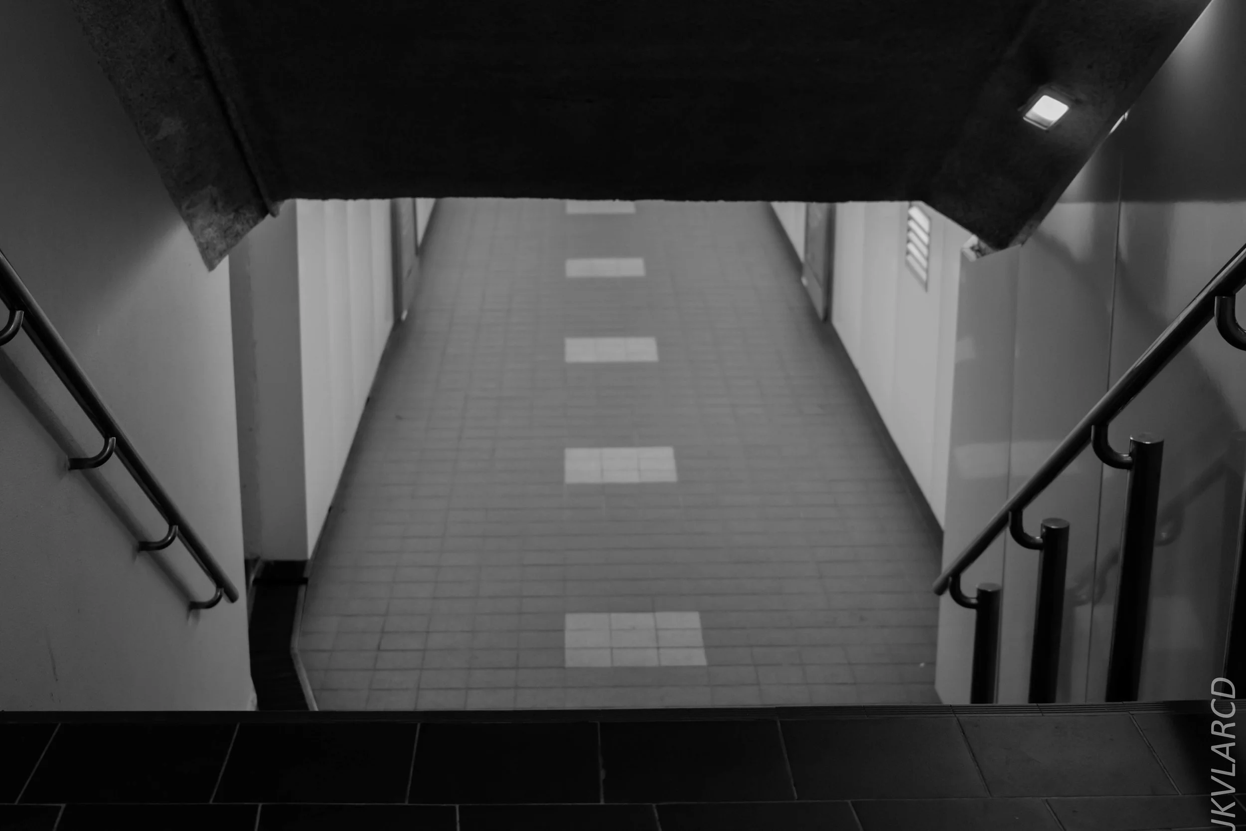 EOS 7D Mark II_2018_07_29_0143.jpg