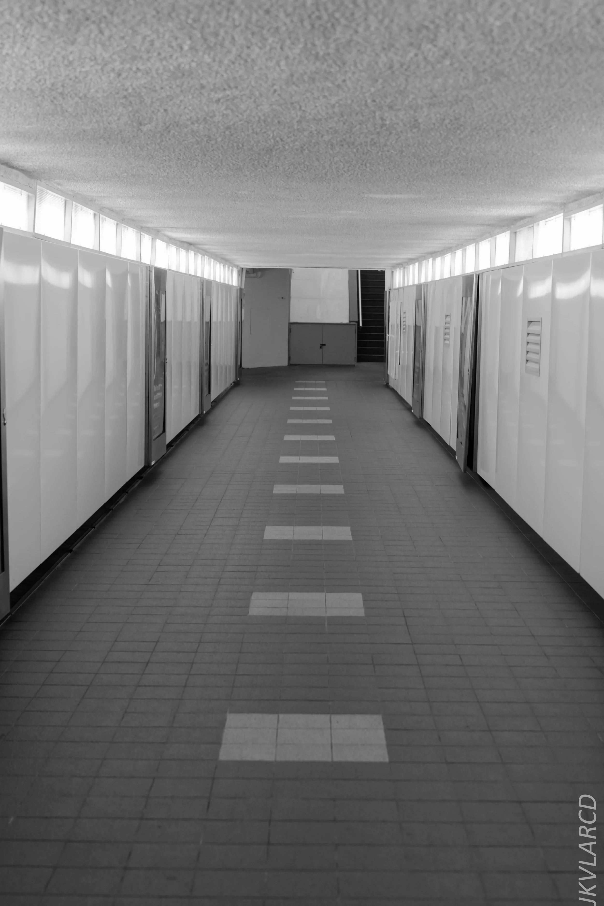 EOS 7D Mark II_2018_07_29_0144.jpg